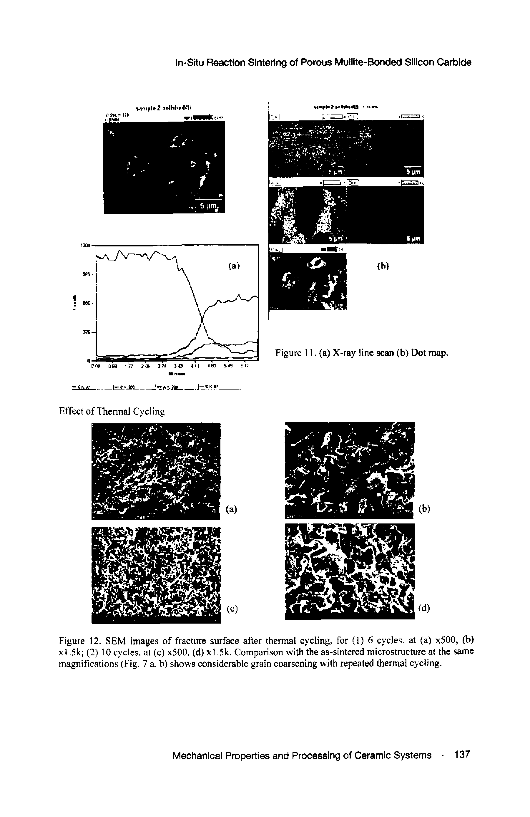 Figure 12. SEM images of fracture surface after thermal cycling, for (1) 6 cycles, at (a) x500, (b) xl.5k (2) 10cycles, at (c) x500, (d) xl.5k. Comparison with the as-sintered microstructure at the same magnifications (Fig. 7 a, b> shows considerable grain coarsening with repeated thermal cycling.