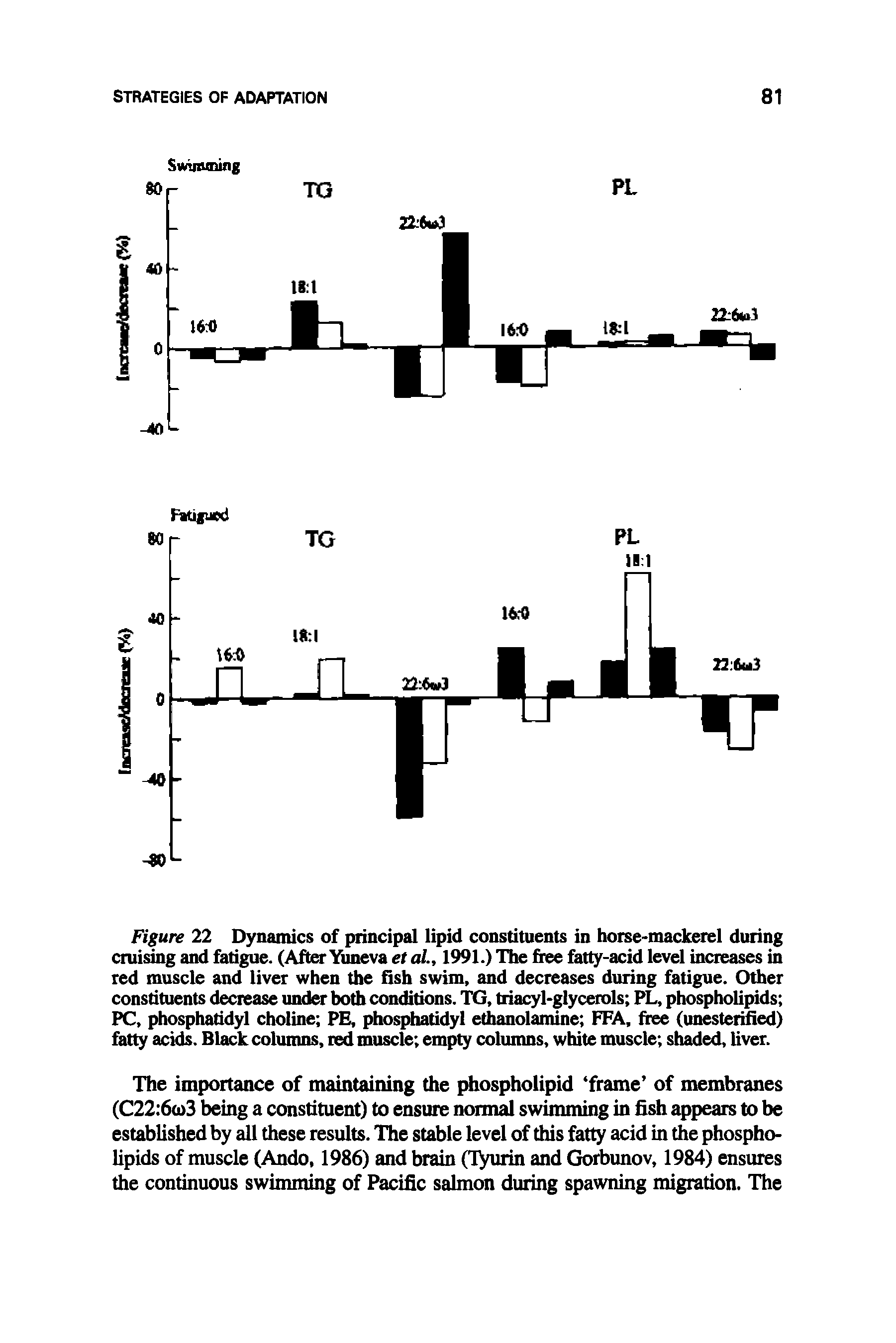 Figure 22 Dynamics of principal lipid constituents in horse-mackerel during cruising and fatigue. (After Yuneva et al., 1991.) The free fatty-acid level increases in red muscle and liver when the fish swim, and decreases during fatigue. Other constituents decrease under both conditions. TG, triacyl-glycerols PL, phospholipids PC, phosphatidyl choline PE, phosphatidyl ethanolamine FFA, free (unesterified) fatty acids. Black columns, red muscle empty columns, white muscle shaded, liver.