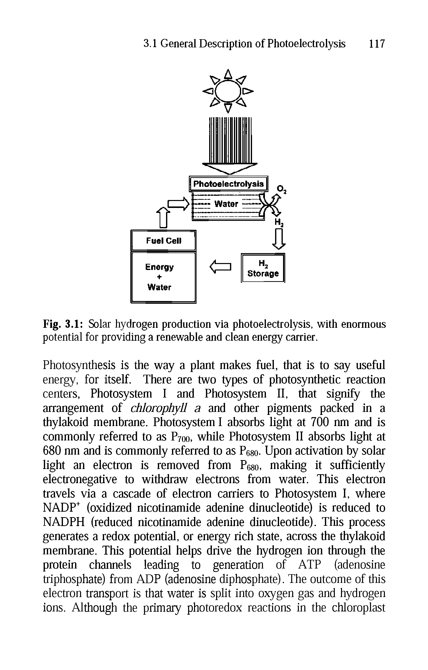 Fig. 3.1 Solar hydrogen production via photoelectrolysis, with enormous potential for providing a renewable and clean energy carrier.