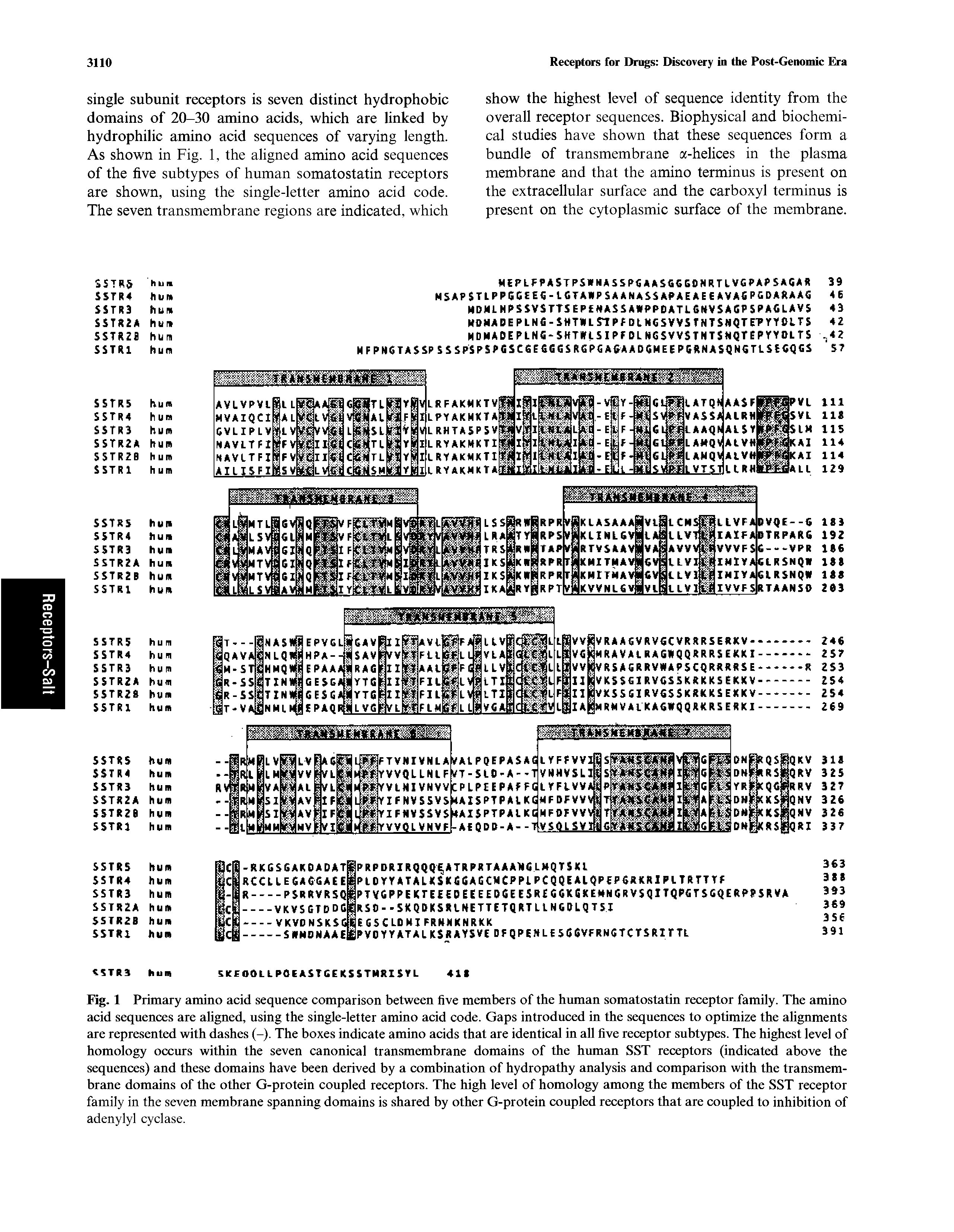 Fig. 1 Primary amino acid sequence comparison between five members of the human somatostatin receptor family. The amino acid sequences are aligned, using the single-letter amino acid code. Gaps introduced in the sequences to optimize the alignments are represented with dashes (-). The boxes indicate amino acids that are identical in all five receptor subtypes. The highest level of homology occurs within the seven canonical transmembrane domains of the human SST receptors (indicated above the sequences) and these domains have been derived by a combination of hydropathy analysis and comparison with the transmembrane domains of the other G-protein coupled receptors. The high level of homology among the members of the SST receptor family in the seven membrane spanning domains is shared by other G-protein coupled receptors that are coupled to inhibition of adenylyl cyclase.