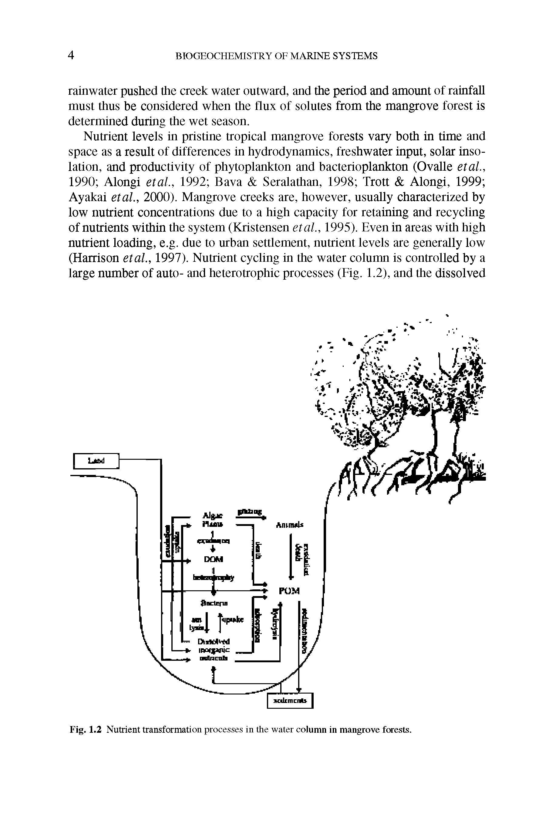 Fig. 1.2 Nutrient transformation processes in the water column in mangrove forests.