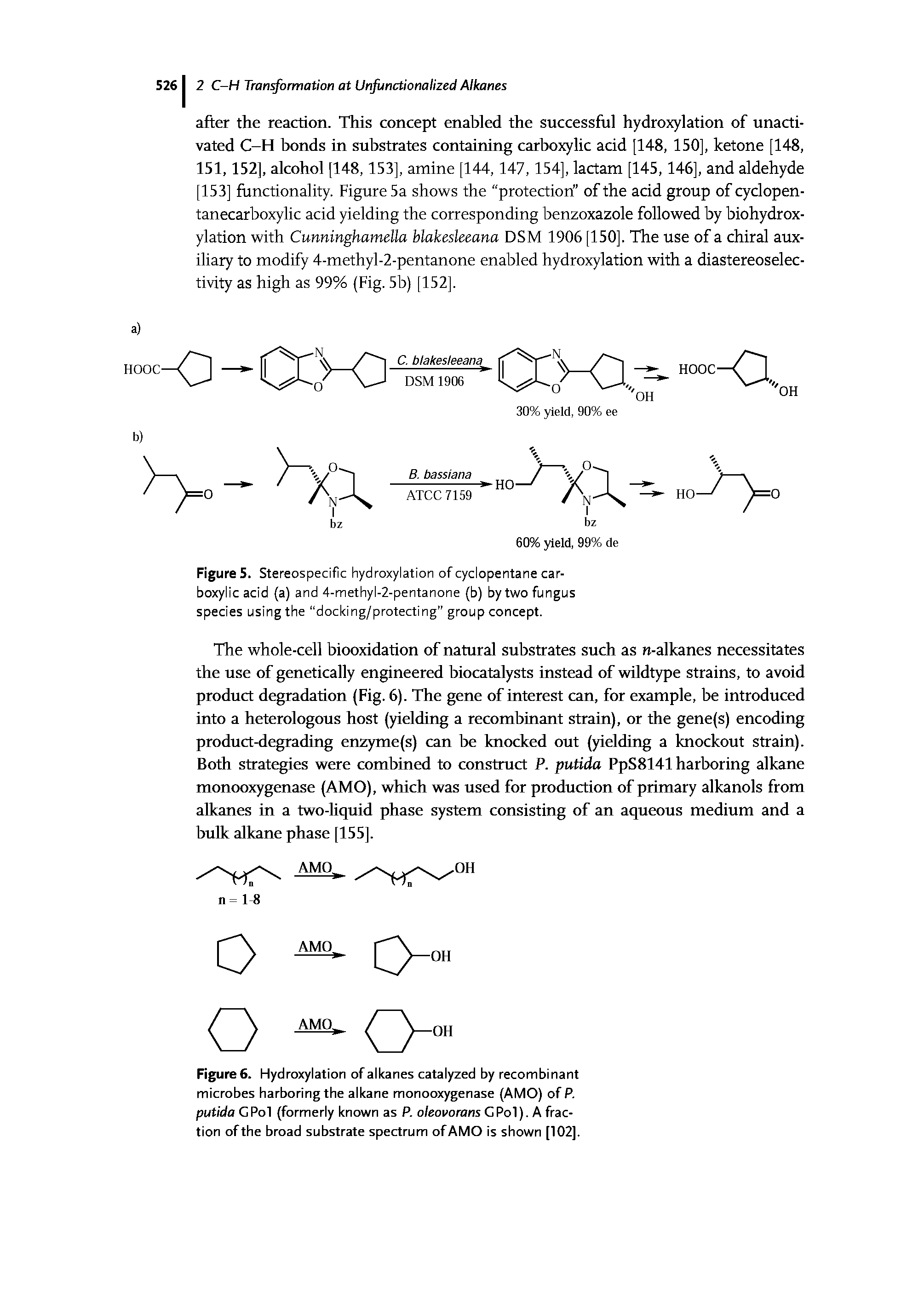 Figure 5. Stereospecific hydroxylation of cyclopentane carboxylic acid (a) and 4-methyl-2-pentanone (b) by two fungus species using the docking/protecting group concept.