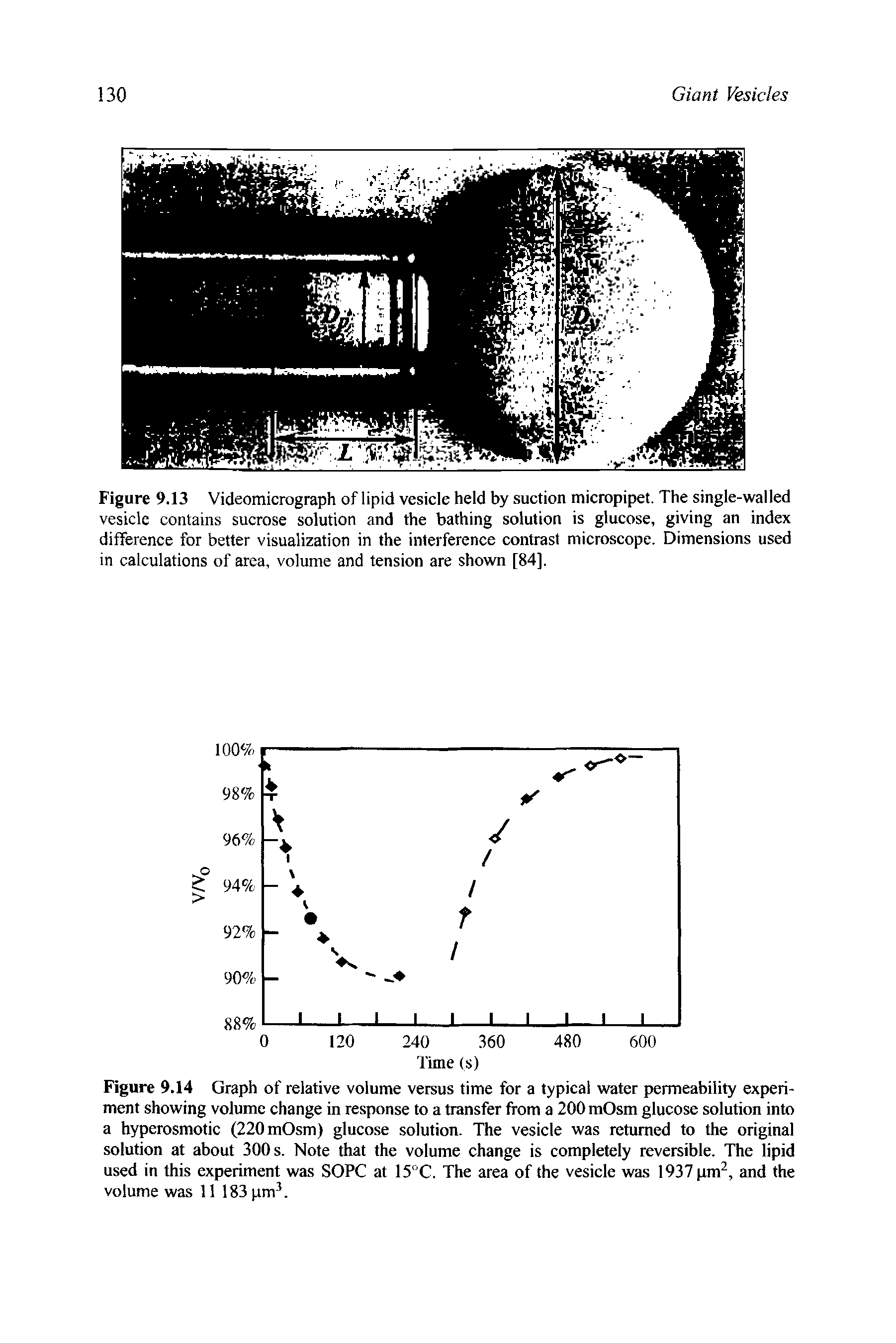 Figure 9.13 Videomicrograph of lipid vesicle held by suction micropipet. The single-walled vesicle contains sucrose solution and the bathing solution is glucose, giving an index difference for better visualization in the interference contrast microscope. Dimensions used in calculations of area, volume and tension are shown [84].