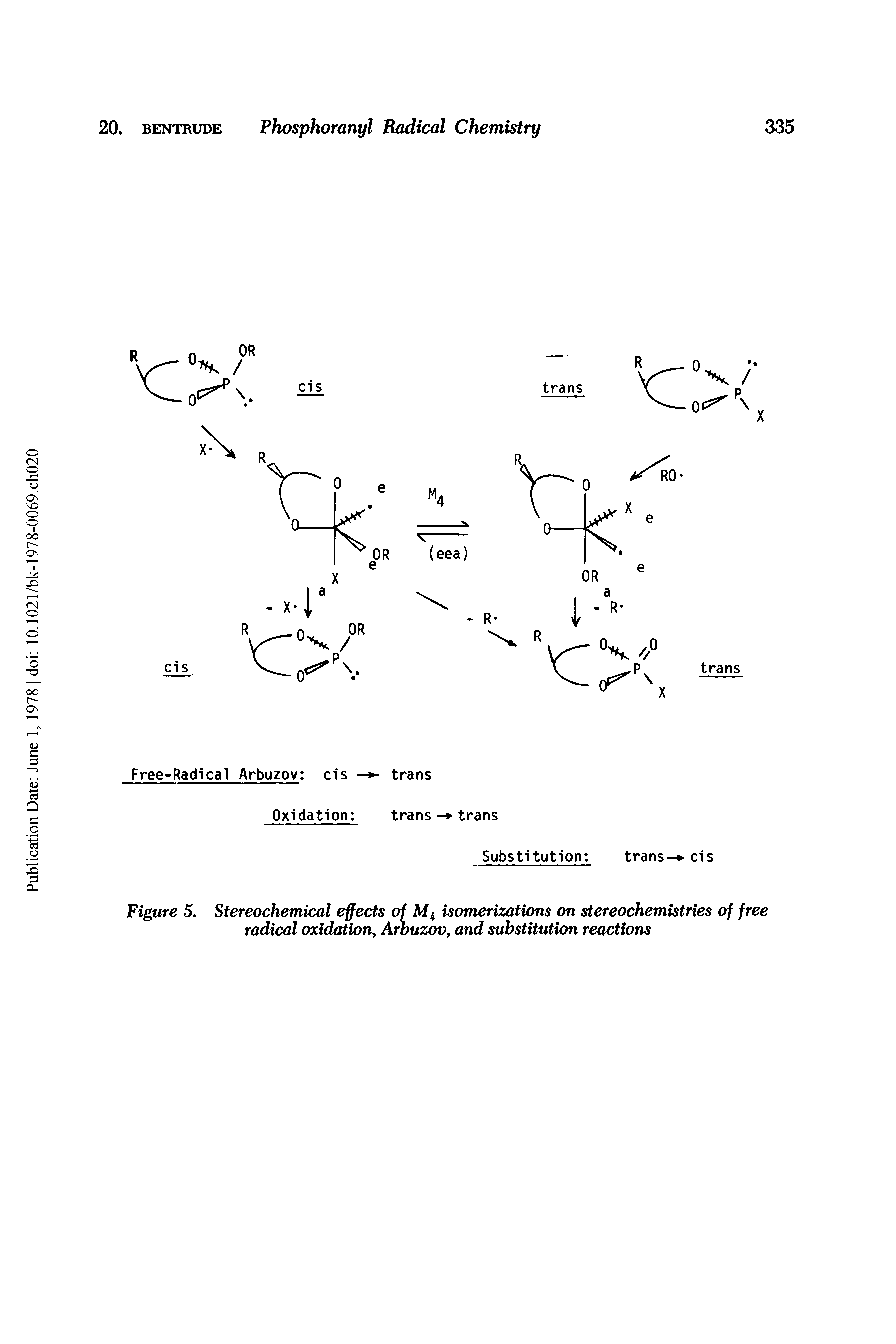 Figure 5. Stereochemical effects of M4 isomerizations on stereochemistries of free radical oxidation Arbuzov, and substitution reactions...