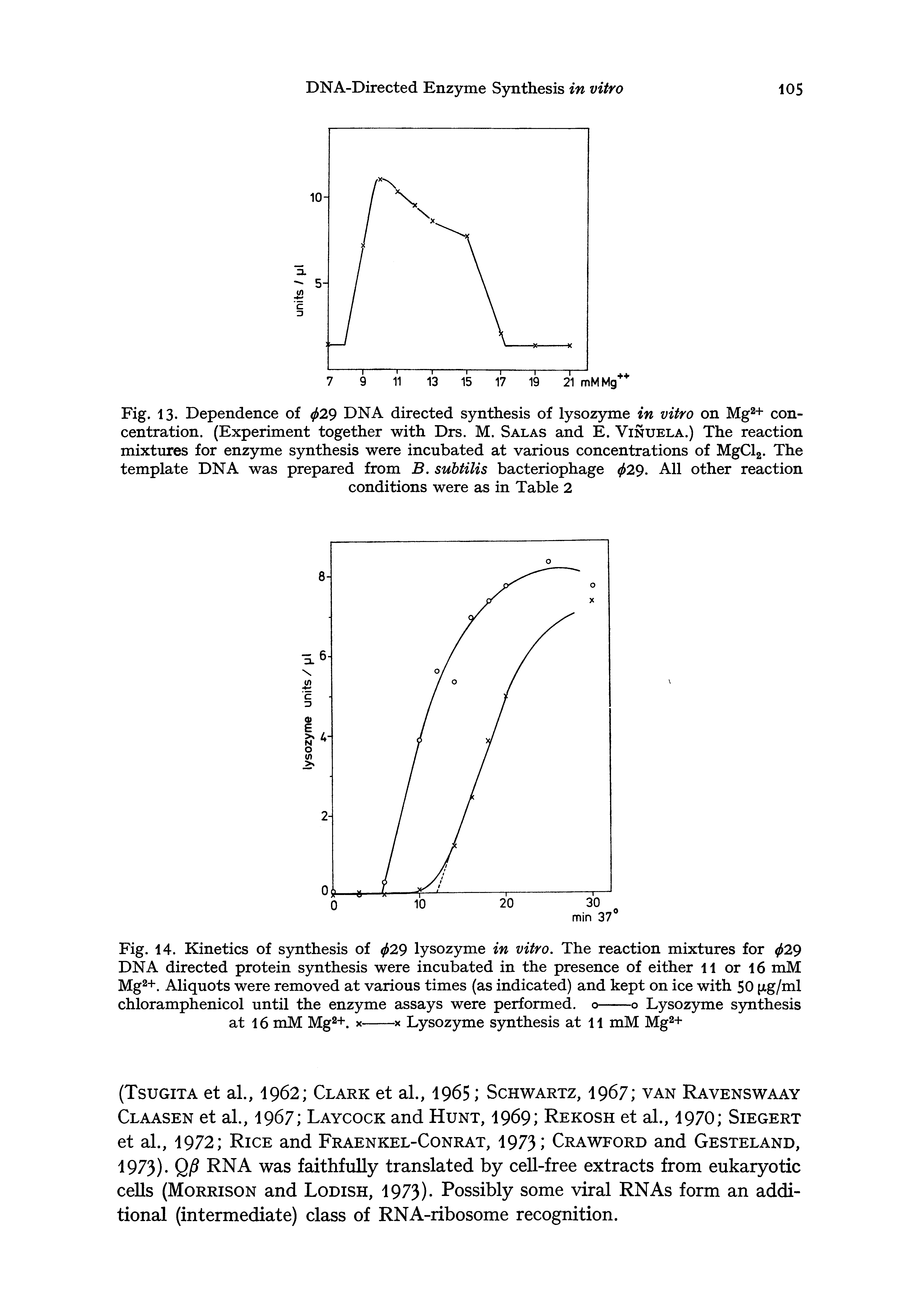 Fig. 14. Kinetics of synthesis of 29 lysozyme in vitro. The reaction mixtures for 29 DNA directed protein synthesis were incubated in the presence of either 11 or 16 mM Mg2+. Aliquots were removed at various times (as indicated) and kept on ice with 50 (xg/ml...