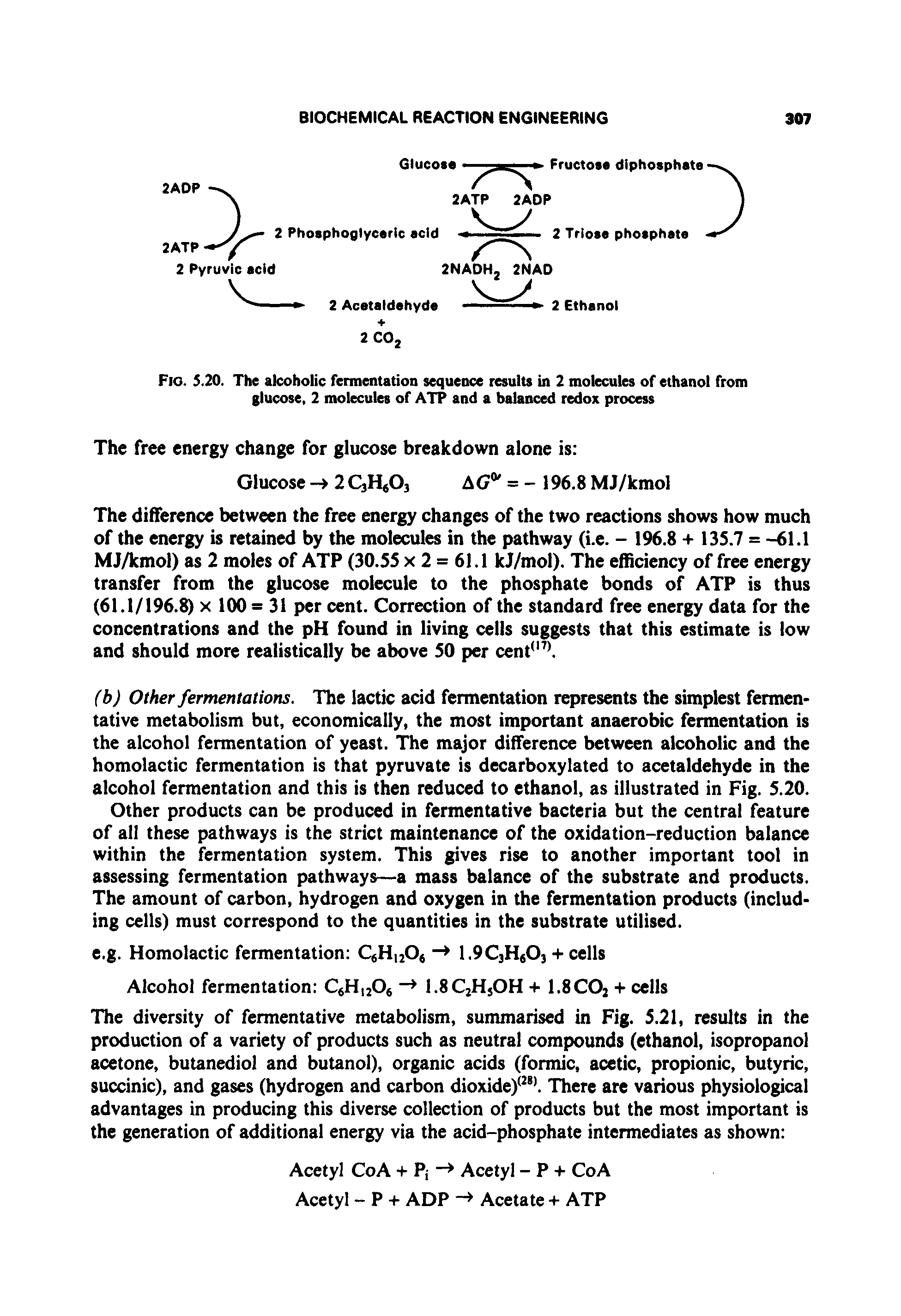 Fig. 5.20. The alcoholic fermentation sequence results in 2 molecules of ethanol from glucose, 2 molecules of ATP and a balanced redox process...