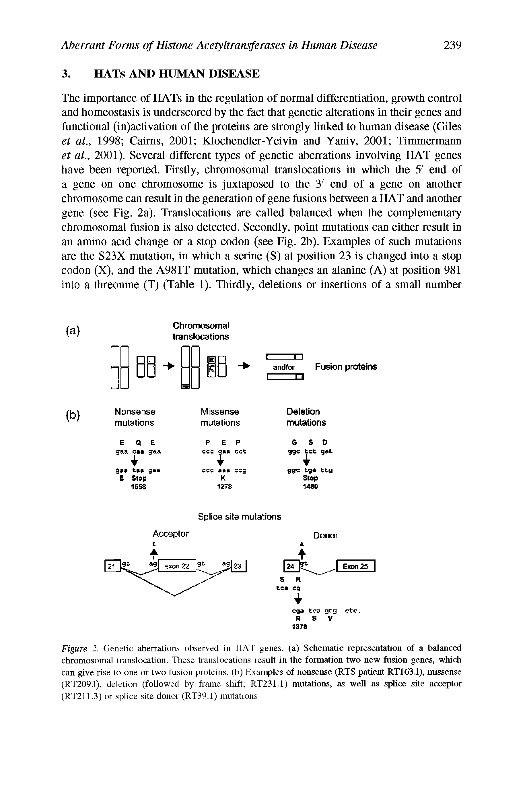 Figure 2. Genetic aberrations observed in HAT genes, (a) Schematic representation of a balanced chromosomal translocation. These translocations result in the formation two new fusion genes, which can give rise to one or two fusion proteins, (b) Examples of nonsense (RTS patient RT163.1), missense (RT209.1), deletion (followed by frame shift RT231.1) mutations, as well as sphee site acceptor (RT211.3) or splice site donor (RT39.1) mutations...