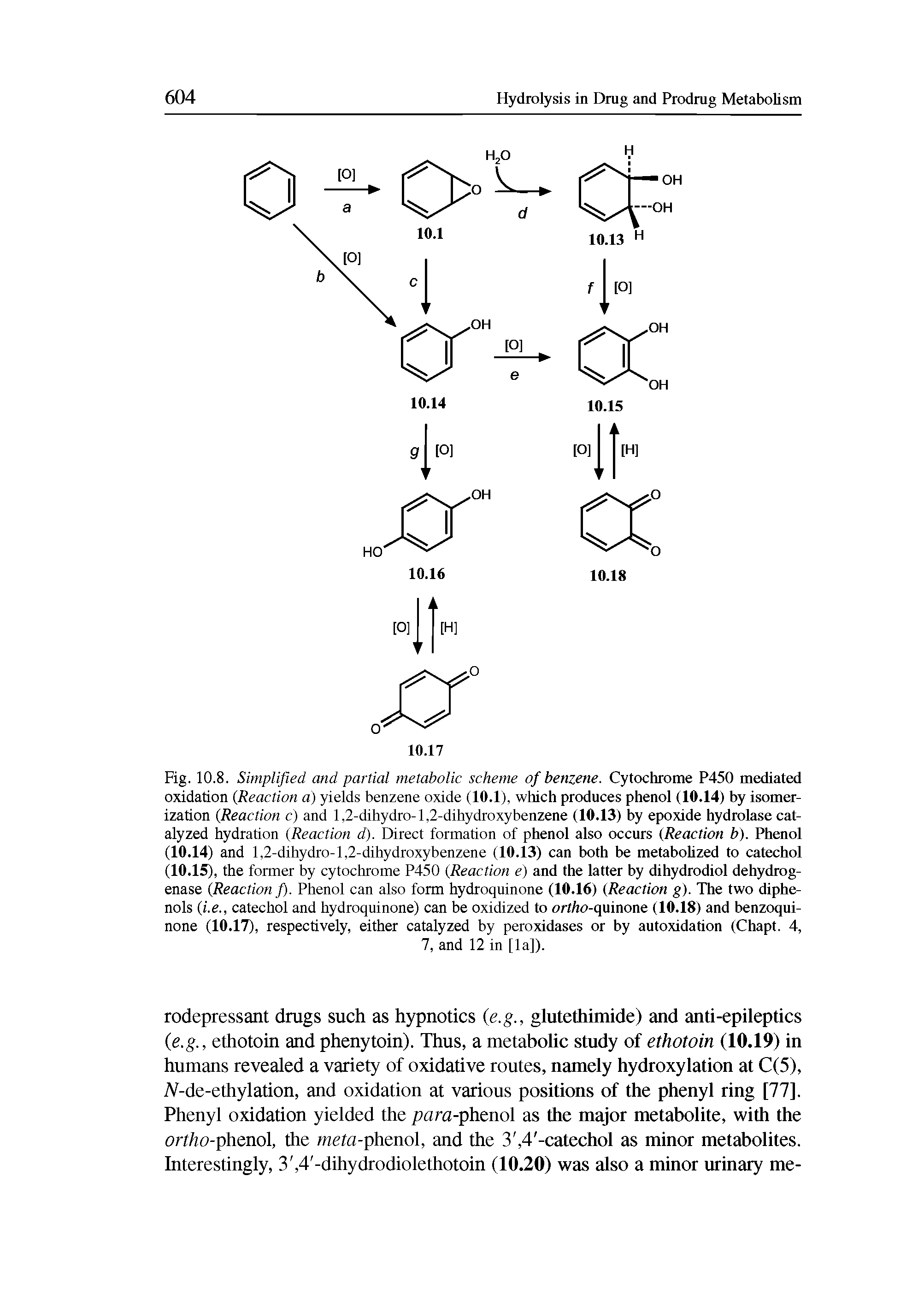 Fig. 10.8. Simplified and partial metabolic scheme of benzene. Cytochrome P450 mediated oxidation (Reaction a) yields benzene oxide (10.1), which produces phenol (10.14) by isomerization (Reaction c) and 1,2-dihydro-1,2-dihydroxybenzene (10.13) by epoxide hydrolase catalyzed hydration (Reaction d). Direct formation of phenol also occurs (Reaction b). Phenol...