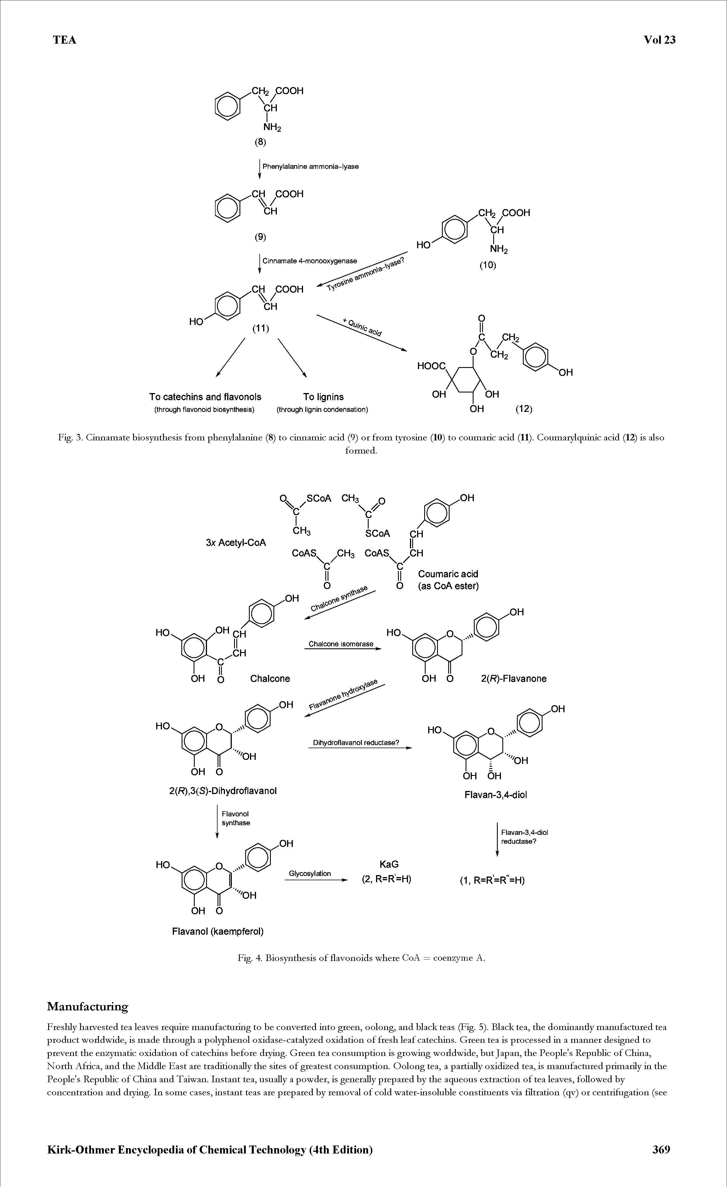 Fig. 3. Cinnamate biosynthesis from phenylalanine (8) to cinnamic acid (9) or from tyrosine (10) to coumaric acid (11). Coumarylquinic acid (12) is also...