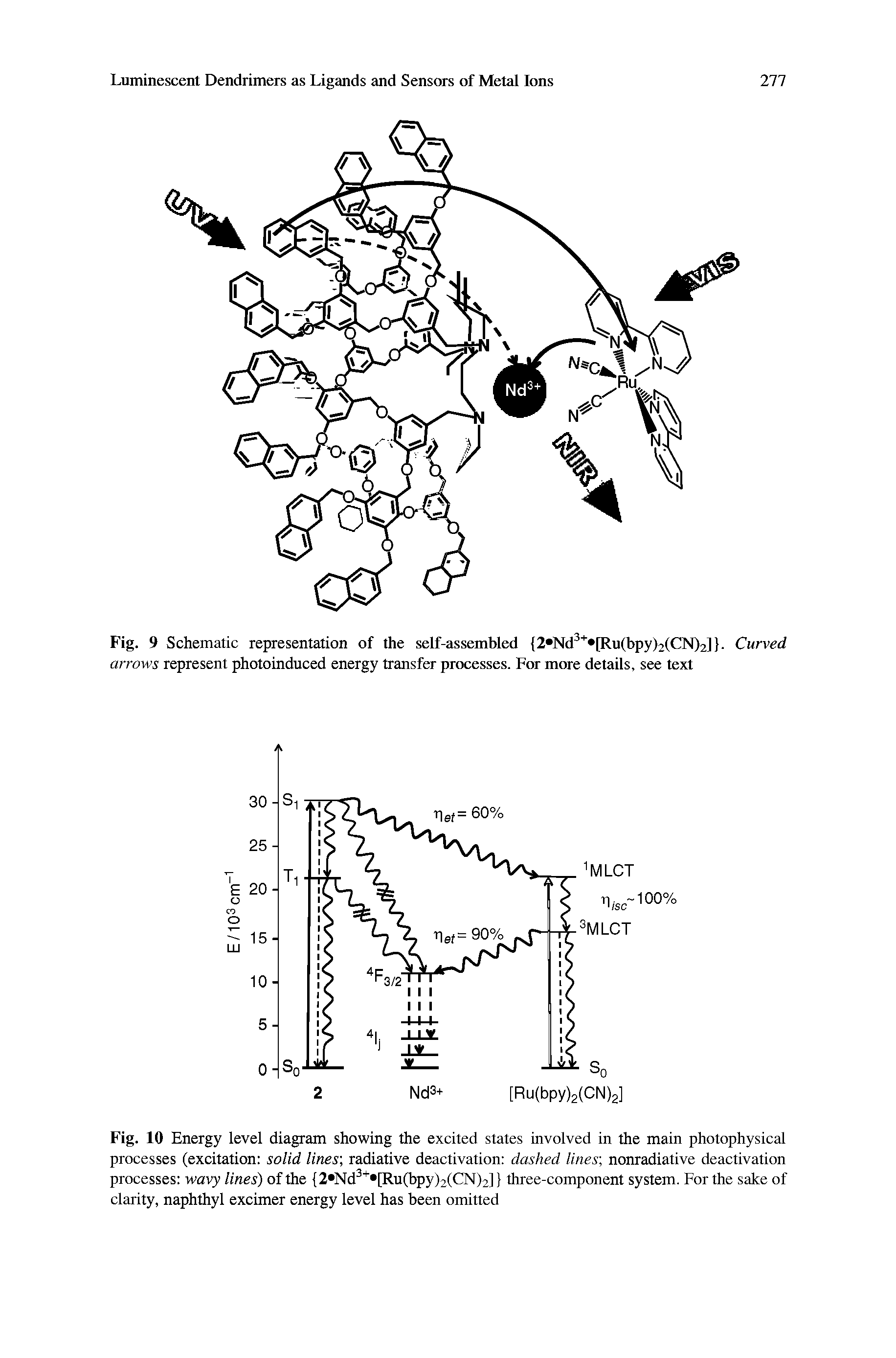 Fig. 9 Schematic representation of the self-assembled 2 Nd3+ [Ru(bpy)2(CN)2]. Curved arrows represent photoinduced energy transfer processes. For more details, see text...