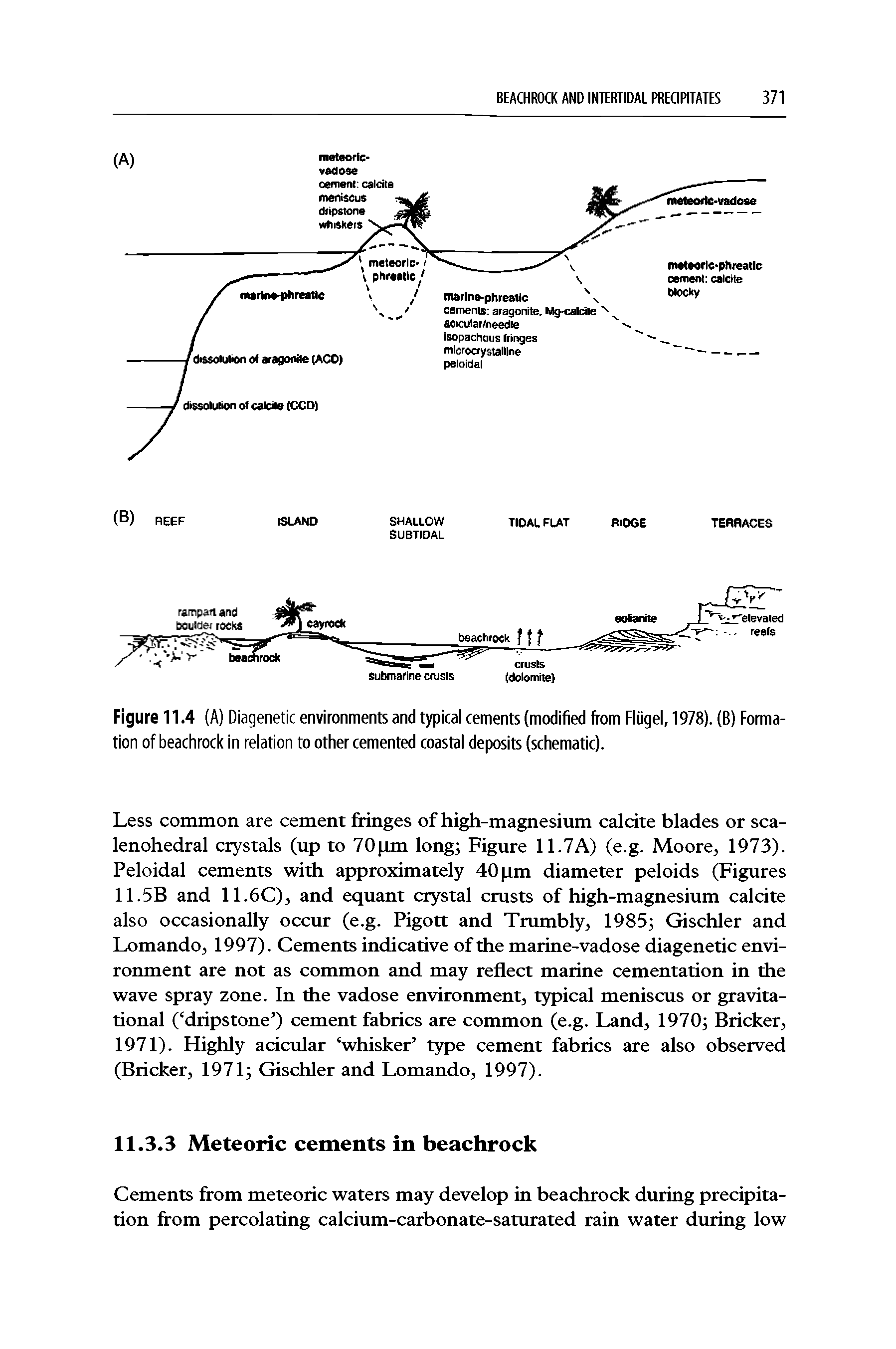 Figure 11.4 (A) Diagenetic environments and typical cements (modified from Fliigel, 1978). (B) Formation of beachrock in relation to other cemented coastal deposits (schematic).