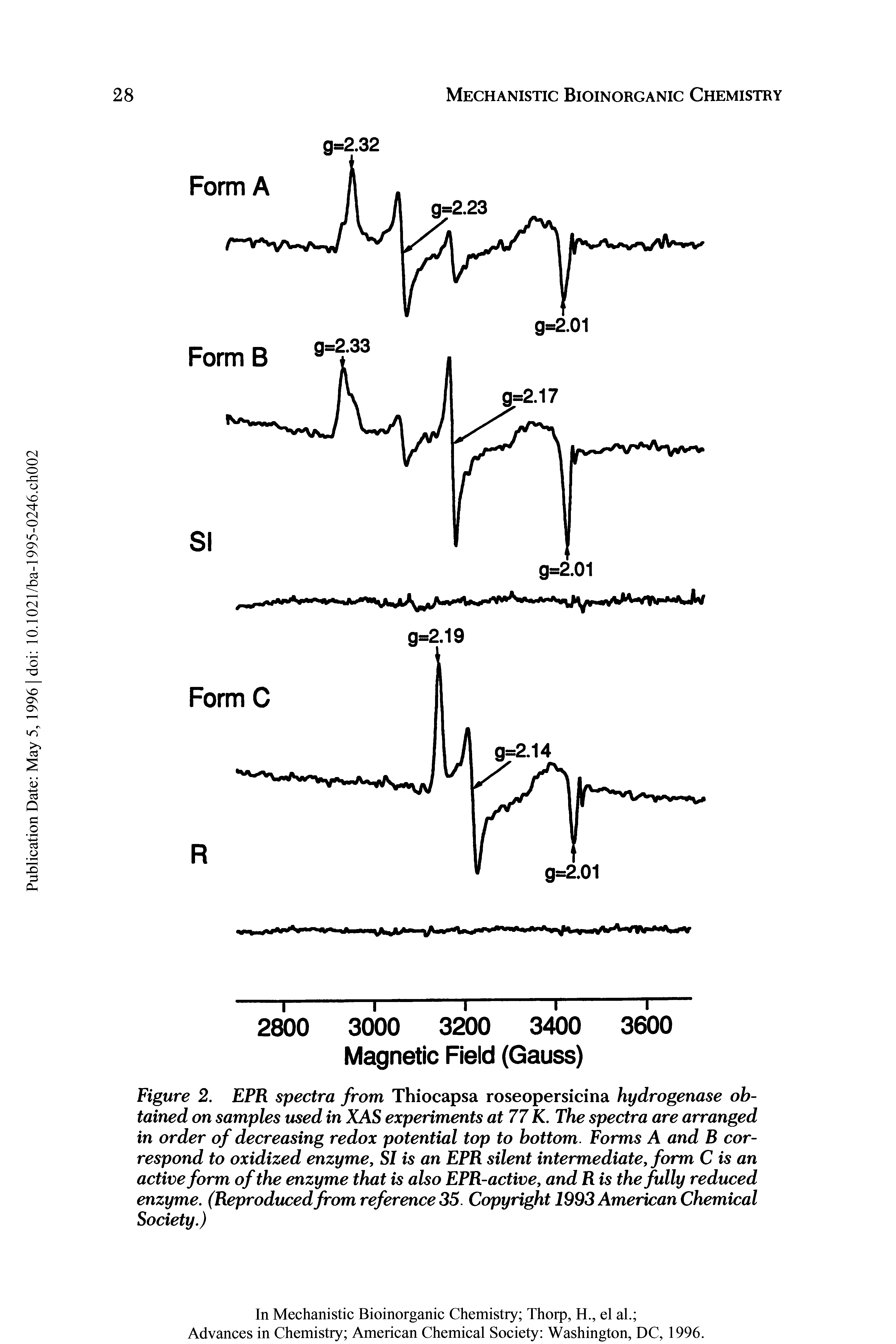 Figure 2. EPR spectra from Thiocapsa roseopersicina hydrogenase obtained on samples used in XAS experiments at 77 K. The spectra are arranged in order of decreasing redox potential top to bottom. Forms A and B correspond to oxidized enzyme, SI is an EPR silent intermediate, form C is an active form of the enzyme that is also EPR-active, and R is the fully reduced enzyme. (Reproduced from reference 35. Copyright 1993 American Chemical Society.)...