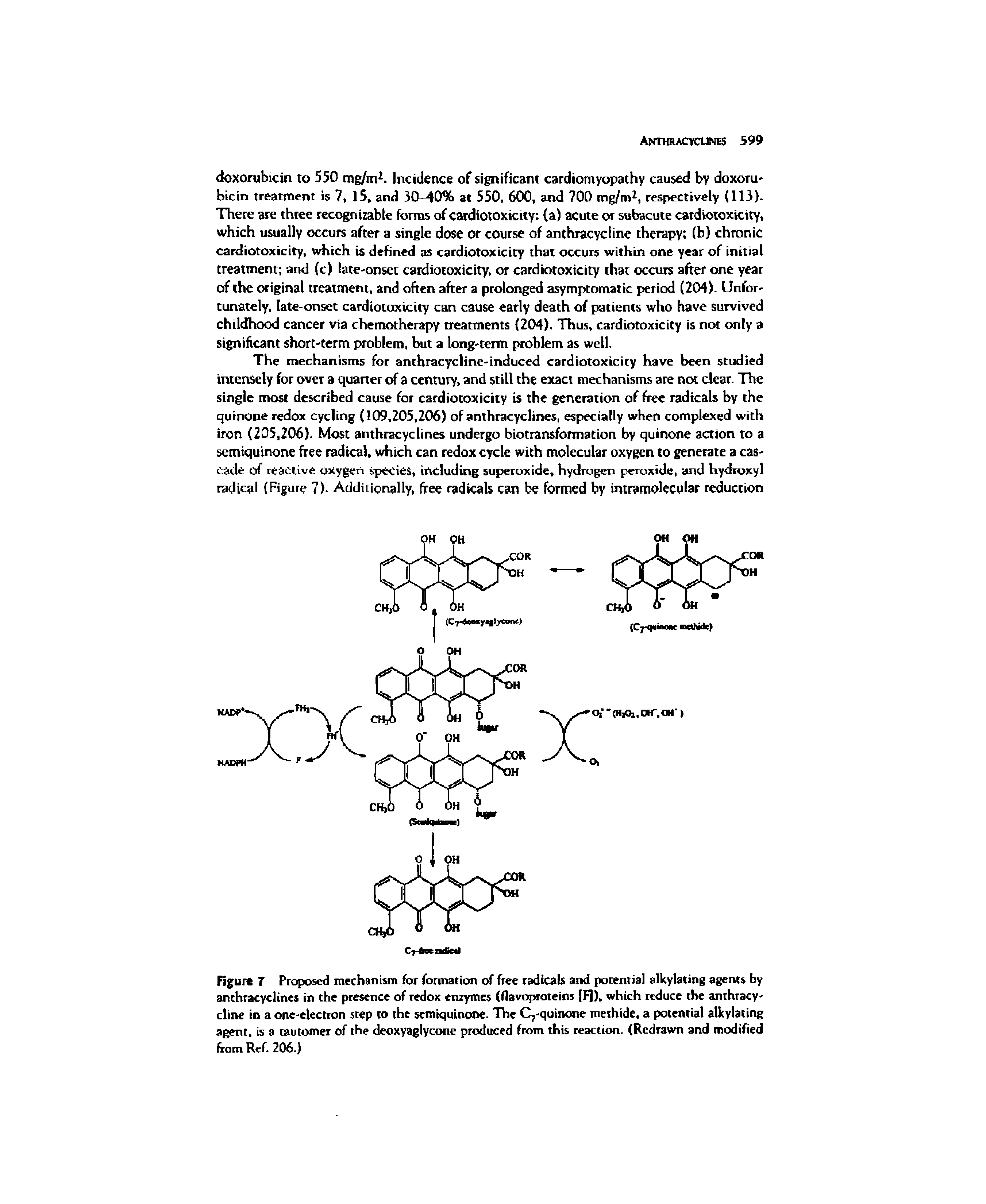 Figure 7 Proposed mechanism for formation of free radicals and porential alkylating agents by anchracyclines in the presence of redox enzymes (flavc oteins IF]), which reduce die anihracy-dine in a one-electron step to the semiquinone. The Cj-quinone methide, a potential alkylating agent, is a tautomer of the deoxyaglycone produced from this reaction. (Redrawn and modified from Ref. 206.)...