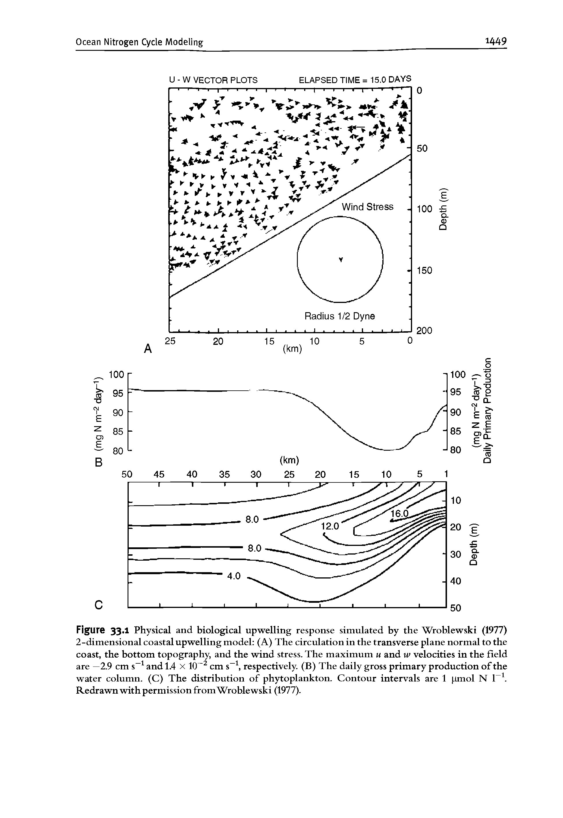 Figur 33 1 Physical and biological upwelling response simulated by the Wroblewski (1977) 2-dimensional coastal upwelling model (A) The circulation in the transverse plane normal to the coast, the bottom topography, and the wind stress. The maximum u and w velocities in the field are —2.9 cm s and 1.4 x 10 cm s , respectively. (B) The daily gross primary production of the water column. (C) The distribution of phytoplankton. Contour intervals are 1 jimol N 1. Redrawn with permission from Wroblewski (1977).