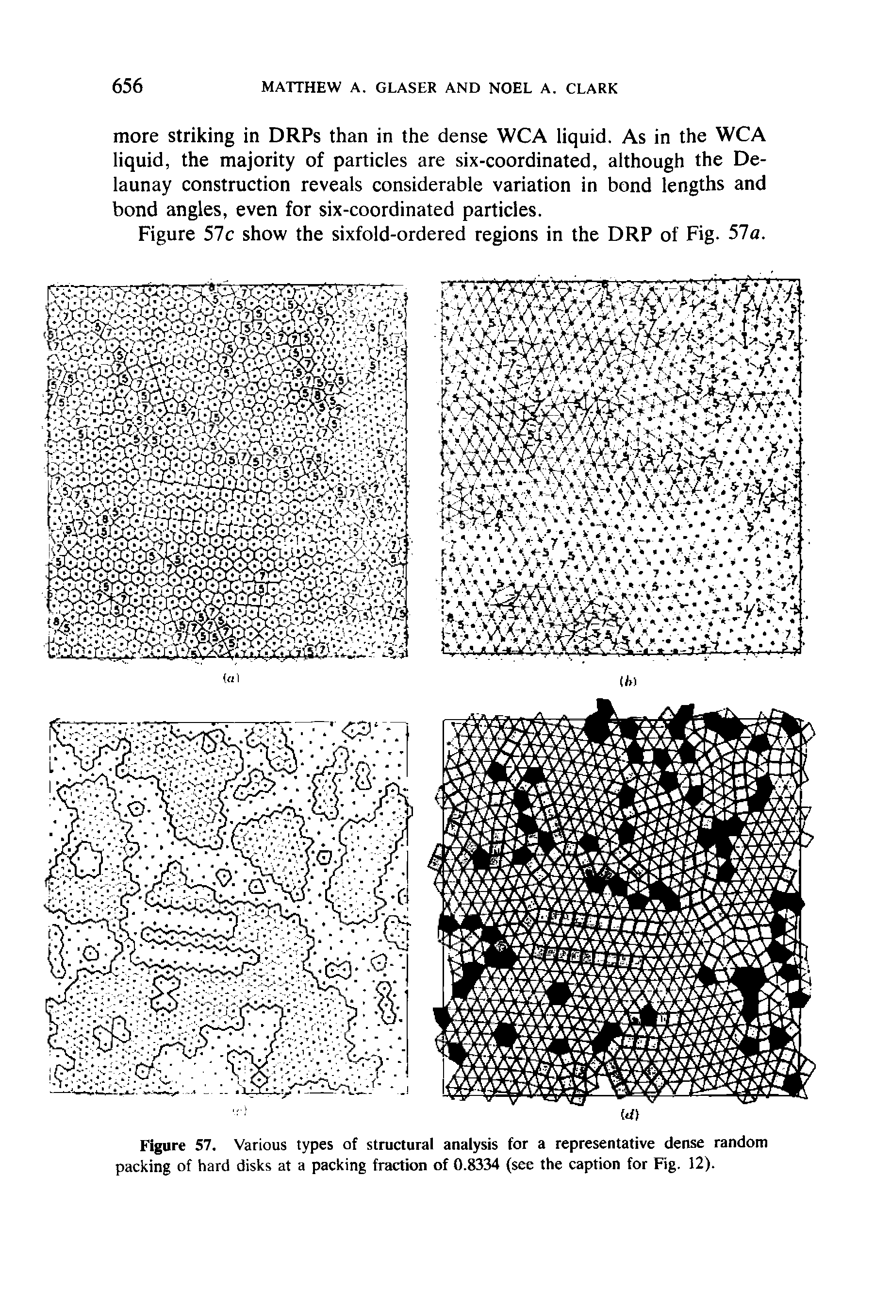 Figure 57. Various types of structural analysis for a representative dense random packing of hard disks at a packing fraction of 0.8334 (see the caption for Fig. 12).