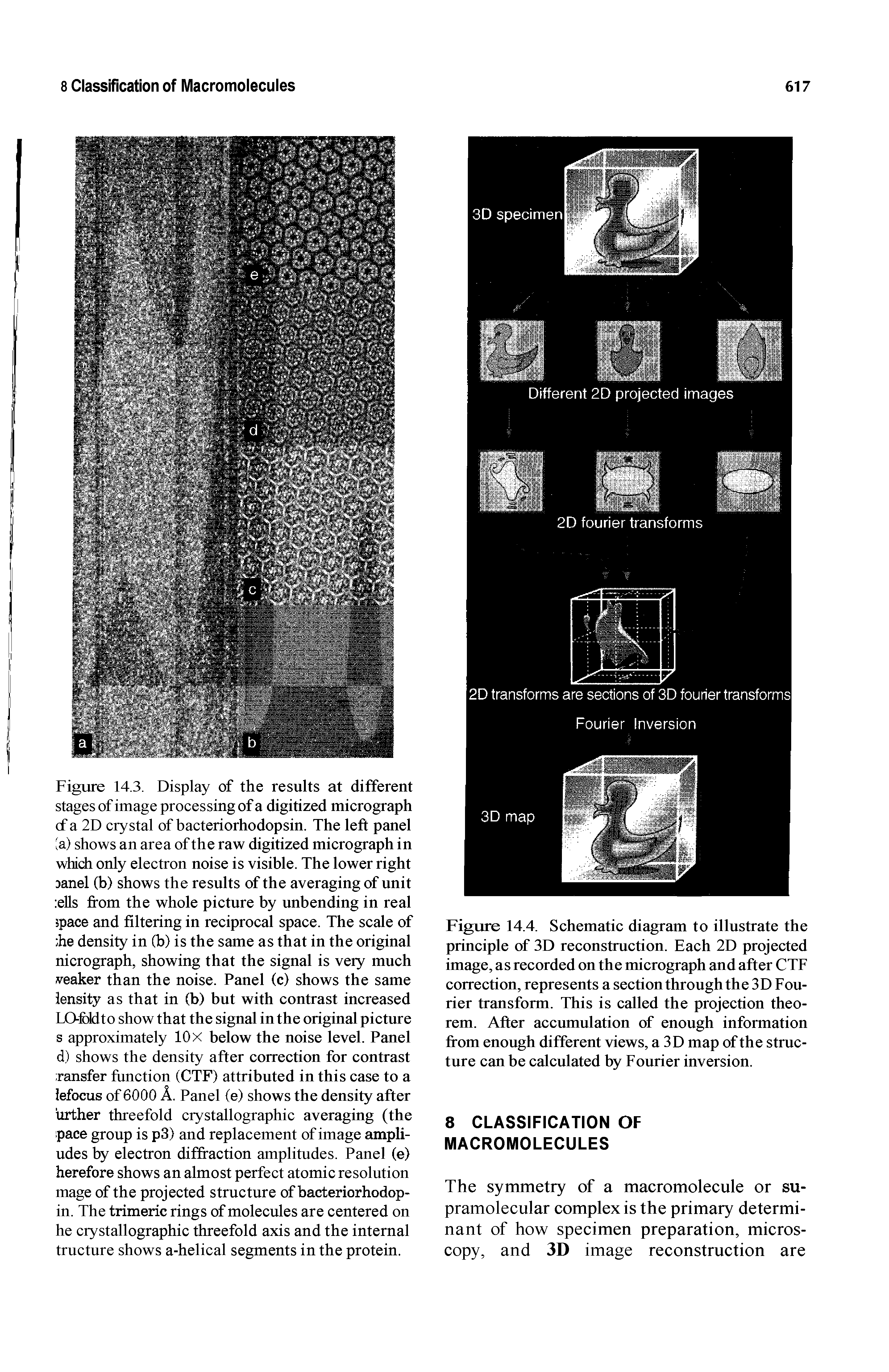 Figure 14.4. Schematic diagram to illustrate the principle of 3D reconstruction. Each 2D projected image, as recorded on the micrograph and after CTF correction, represents a section through the 3D Fourier transform. This is called the projection theorem. After accumulation of enough information from enough different views, a 3D map of the structure can be calculated by Fourier inversion.