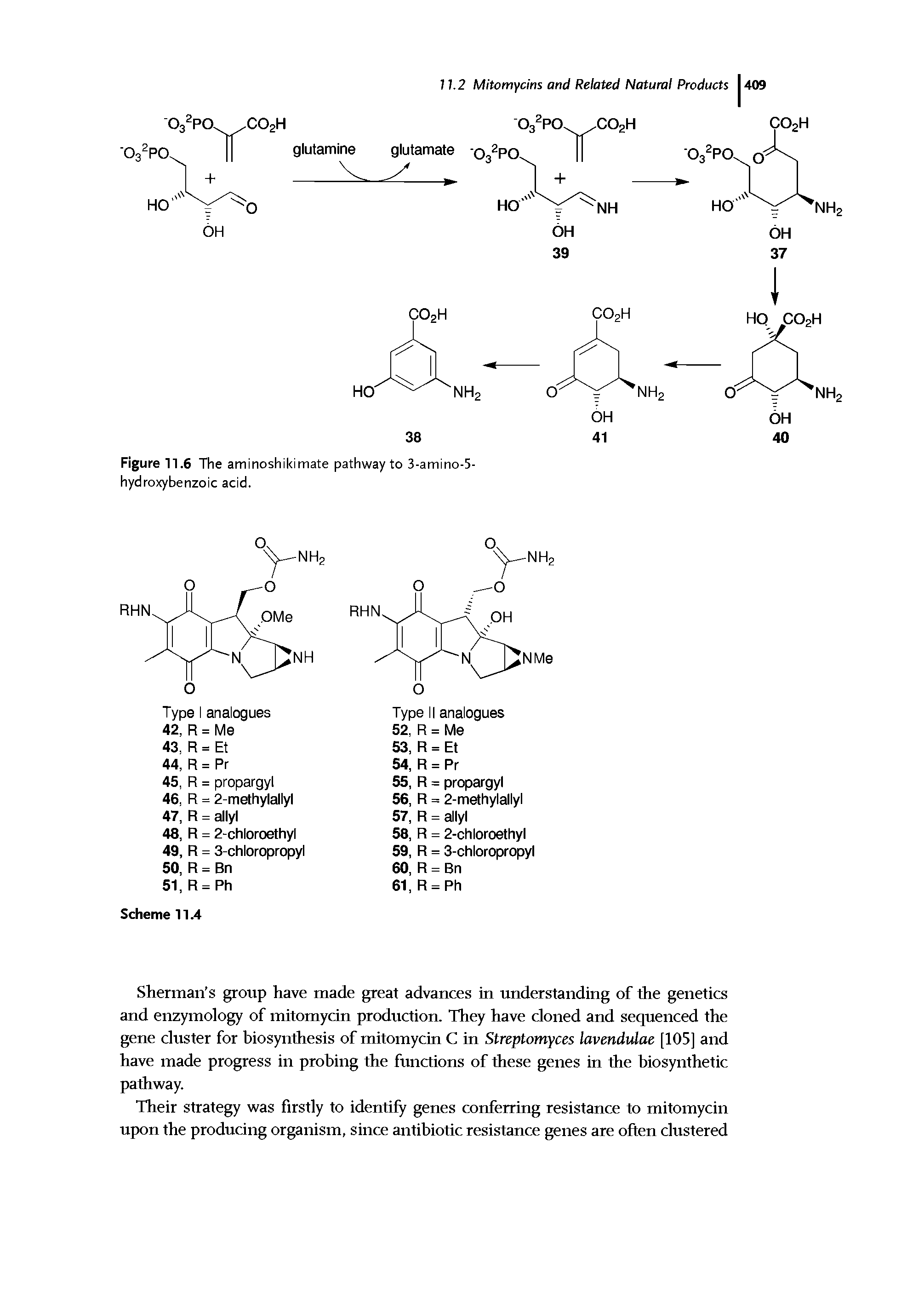 Figure 11.6 The aminoshikimate pathway to 3-amino-5-hydroxybenzoic acid.