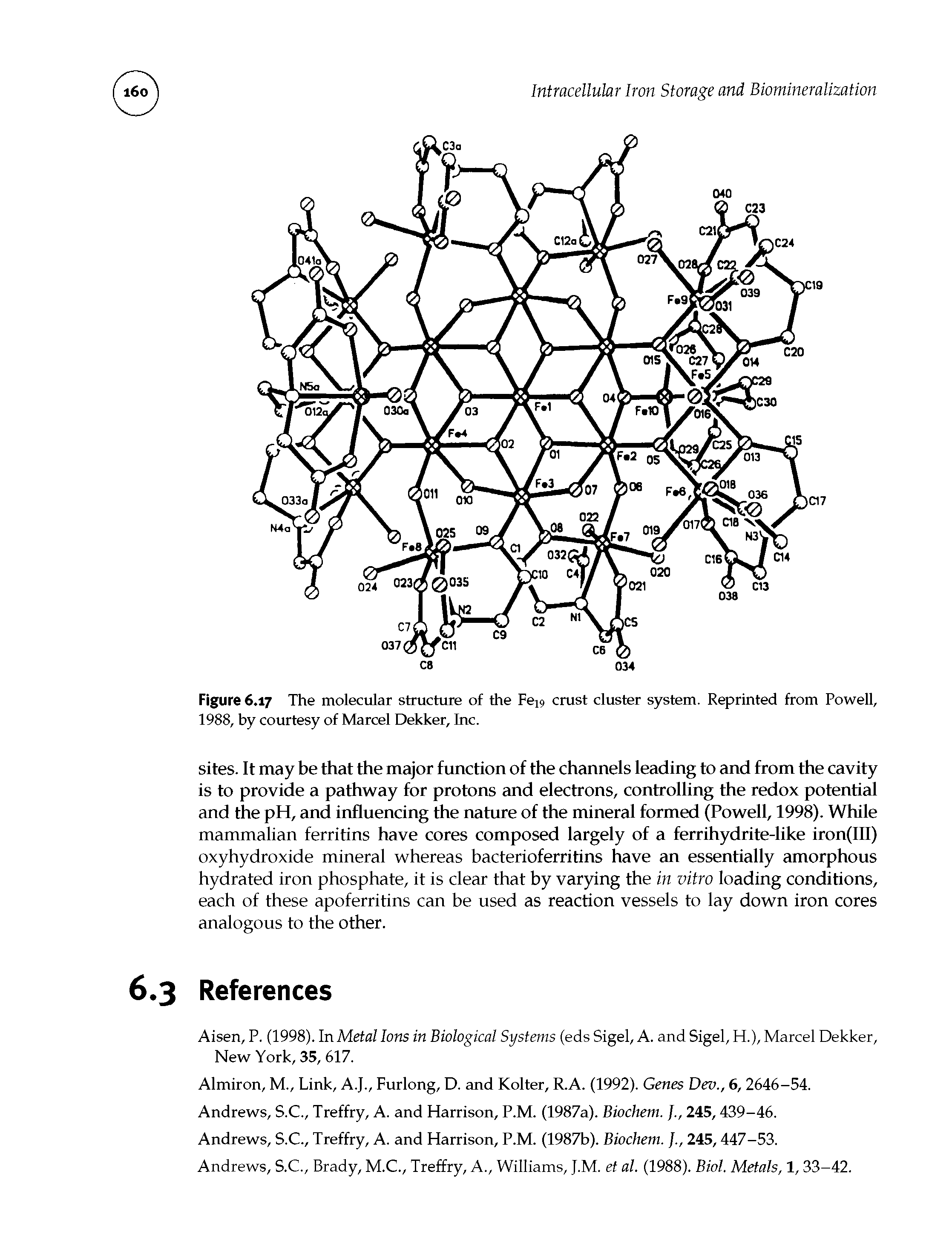 Figure 6.17 The molecular structure of the Fe19 crust cluster system. Reprinted from Powell, 1988, by courtesy of Marcel Dekker, Inc.