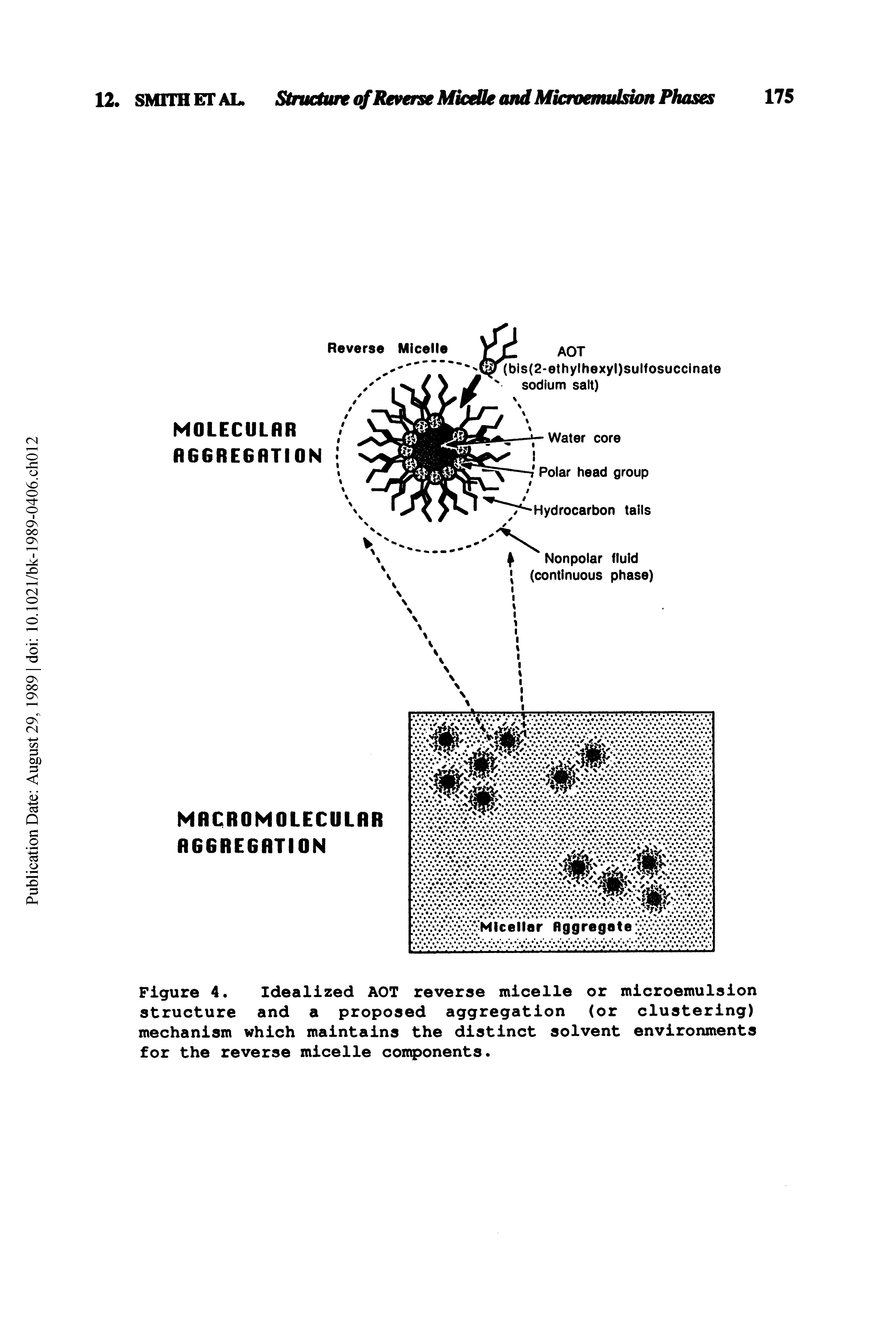 Figure 4. Idealized AOT reverse micelle or microemulsion structure and a proposed aggregation (or clustering) mechanism which maintains the distinct solvent environments for the reverse micelle conqponents.