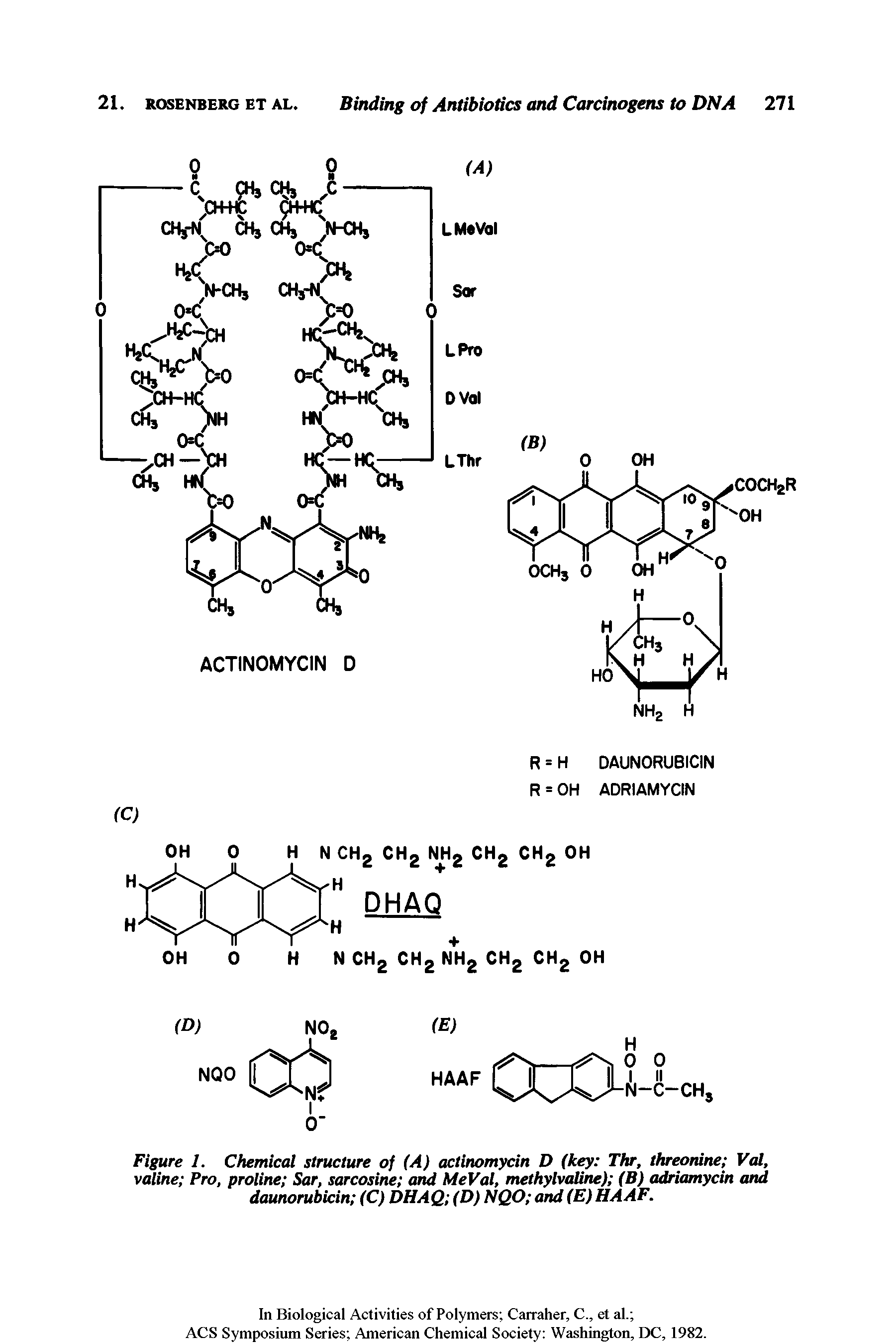 Figure 1. Chemical structure of (A) actinomycin D (key Thr, threonine Val, valine Pro, proline Sar, sarcosine and MeFal, methylvaline) (B) adriamycin and daunorubicin (C) DHAQ (D) NQO and (E) HAAF.