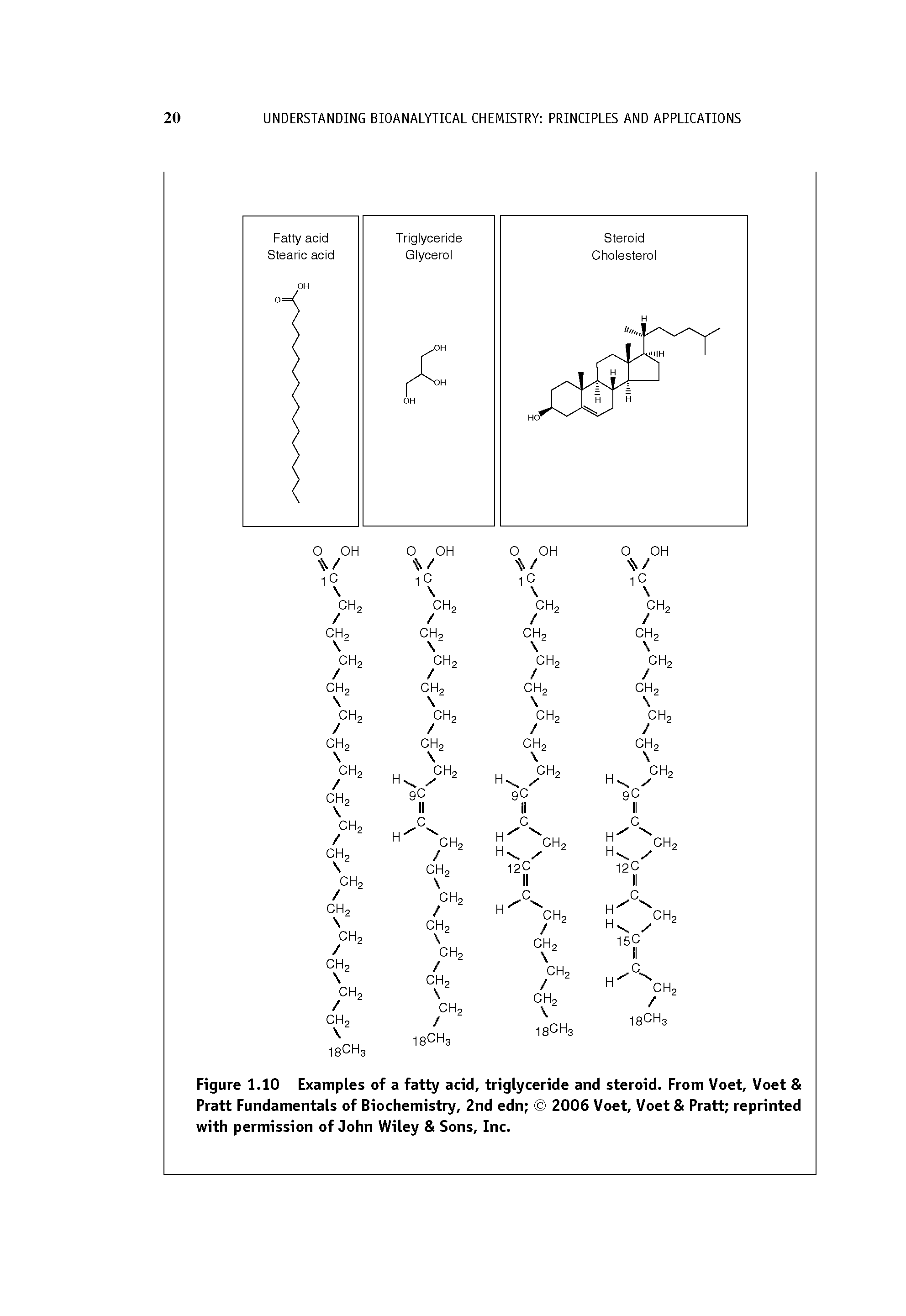 Figure 1.10 Examples of a fatty acid, triglyceride and steroid. From Voet, Voet Pratt Fundamentals of Biochemistry, 2nd edn 2006 Voet, Voet Pratt reprinted with permission of John Wiley Sons, Inc.