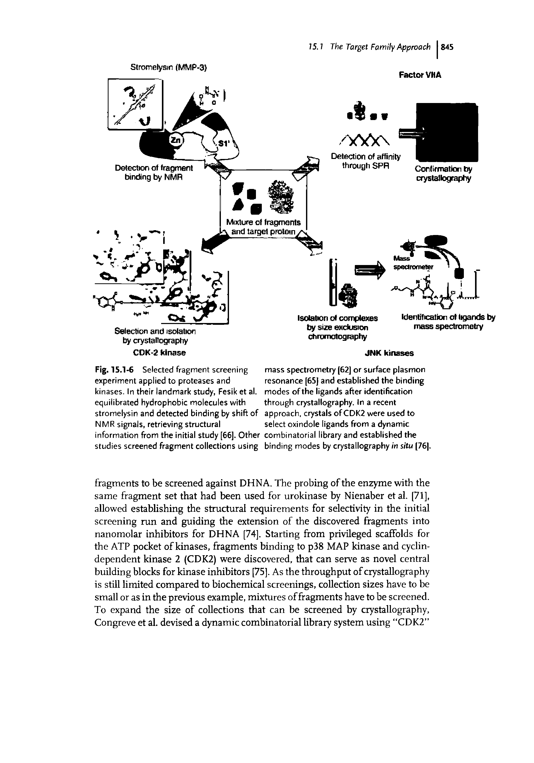 Fig. 15.1-6 Selected fragment screening experiment applied to proteases and kinases. In their landmark study, Fesik et al. equilibrated hydrophobic molecules with stromelysin and detected binding by shift of NMR signals, retrieving structural information from the initial study [66]. Other studies screened fragment collections using...