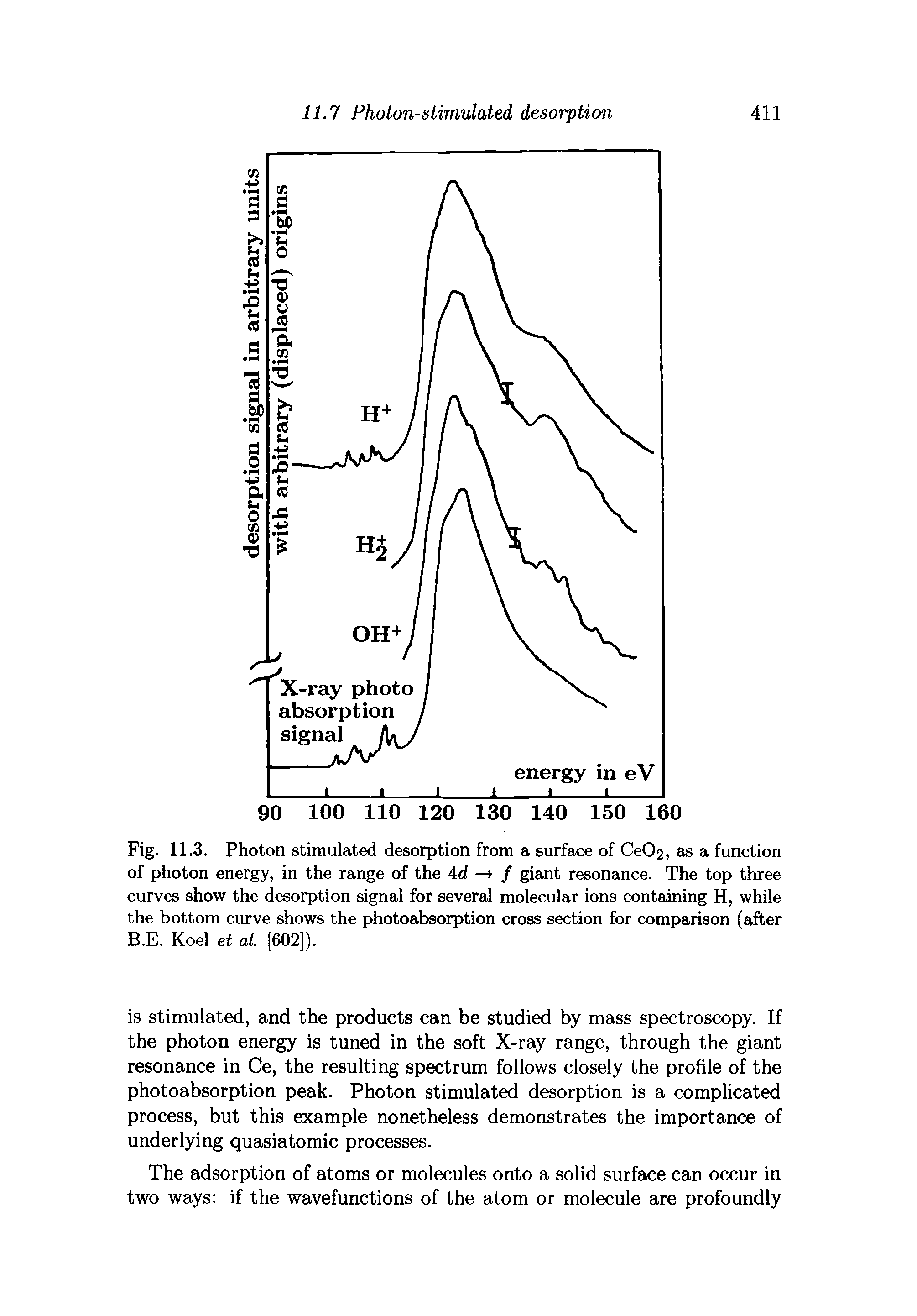 Fig. 11.3. Photon stimulated desorption from a surface of Ce02, as a function of photon energy, in the range of the Ad — / giant resonance. The top three curves show the desorption signal for several molecular ions containing H, while the bottom curve shows the photoabsorption cross section for comparison (after B.E. Koel et at. [602]).