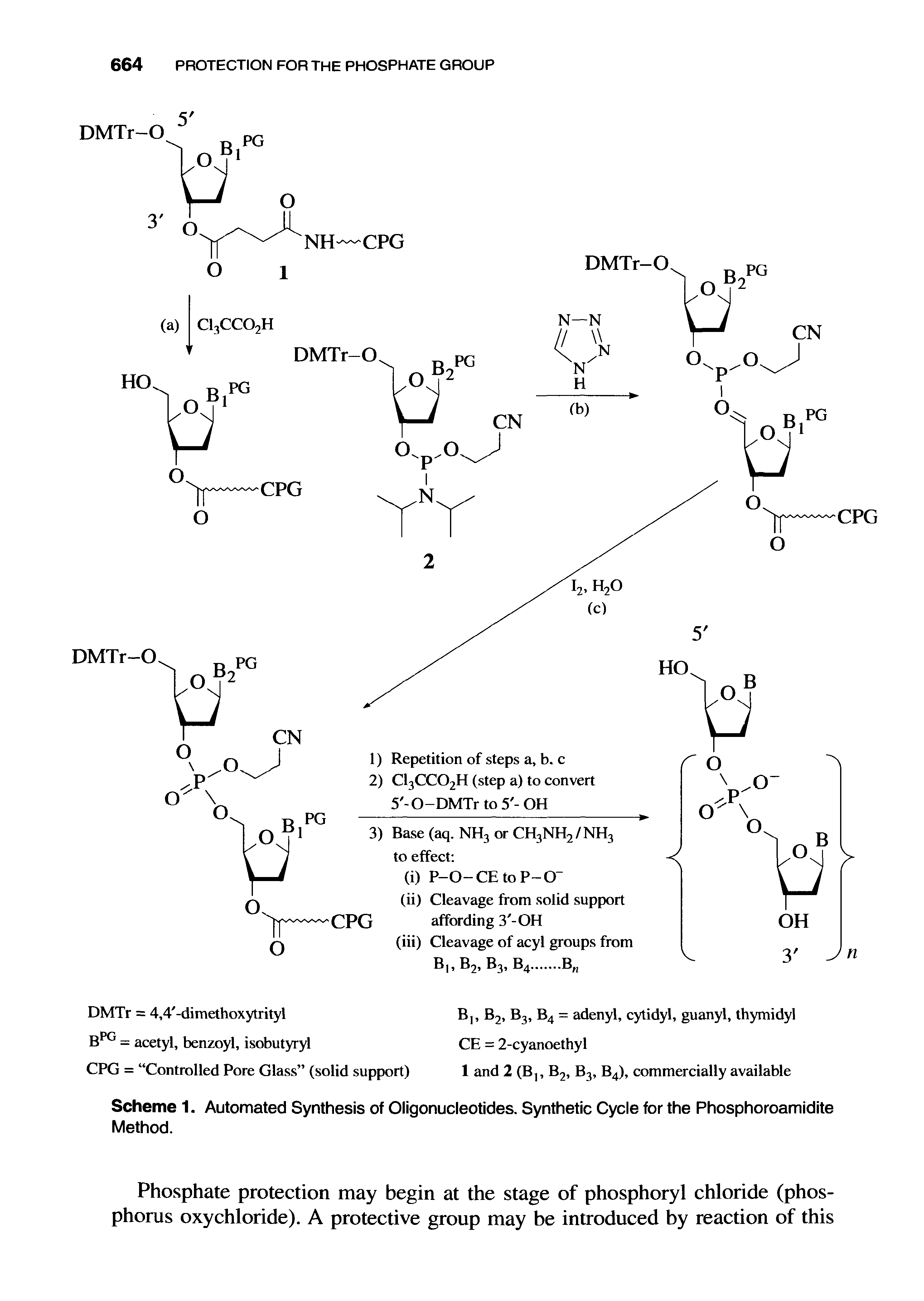 Scheme 1. Automated Synthesis of Oligonucleotides. Synthetic Cycle for the Phosphoroamidite Method.