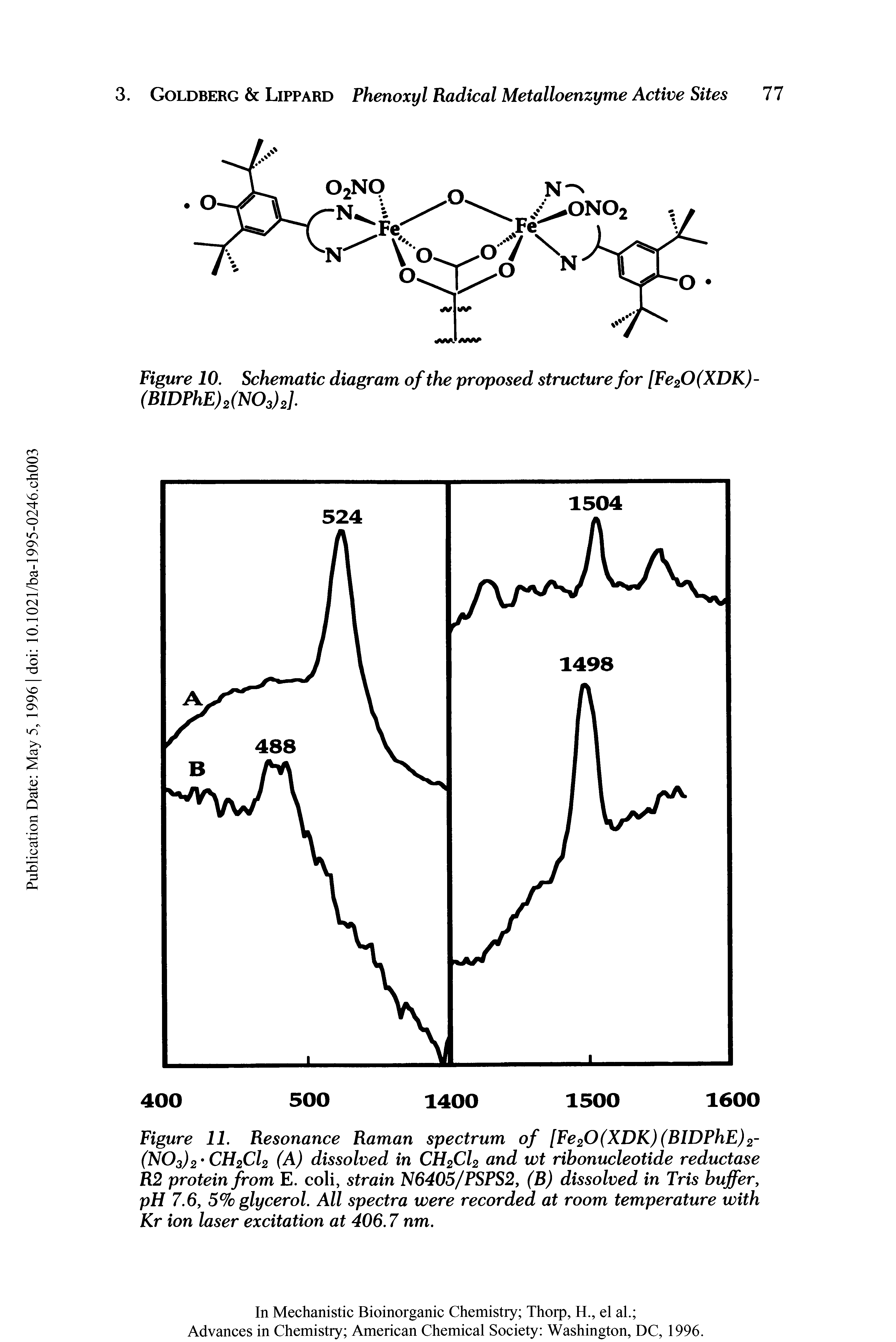 Figure 11. Resonance Raman spectrum of [Fe20(XDK)(BIDPhE)2-(N03)2 CH2Cl2 (A) dissolved in CH2Cl2 and wt ribonucleotide reductase R2 protein from E. coli, strain N6405/PSPS2, (B) dissolved in Tris buffer, pH 7.6, 5% glycerol. All spectra were recorded at room temperature with Kr ion laser excitation at 406.7 nm.