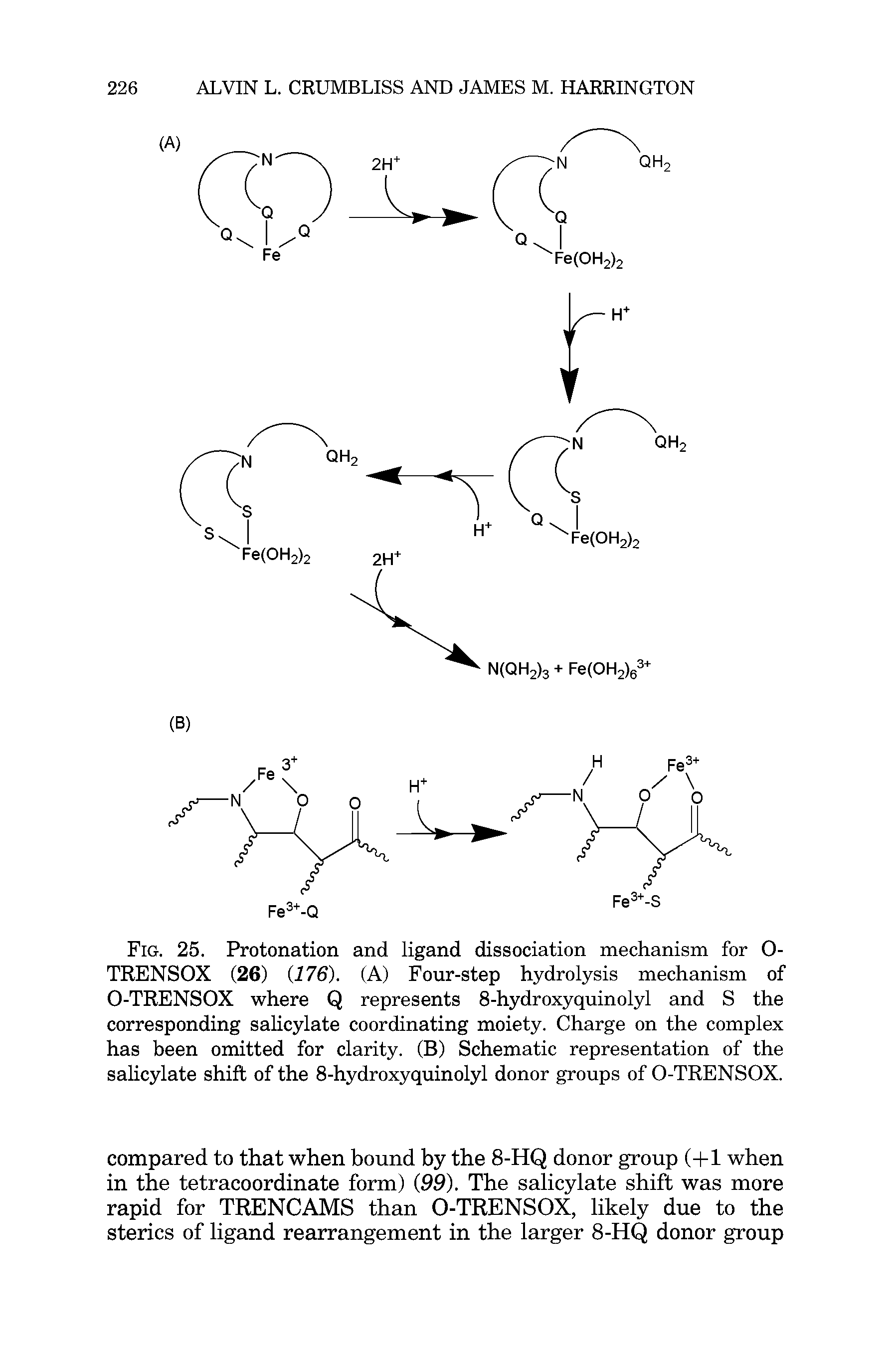 Fig. 25. Protonation and ligand dissociation mechanism for 0-TRENSOX (26) (176). (A) Four-step hydrolysis mechanism of O-TRENSOX where Q represents 8-hydroxyquinolyl and S the corresponding salicylate coordinating moiety. Charge on the complex has been omitted for clarity. (B) Schematic representation of the salicylate shift of the 8-hydroxyquinolyl donor groups of O-TRENSOX.