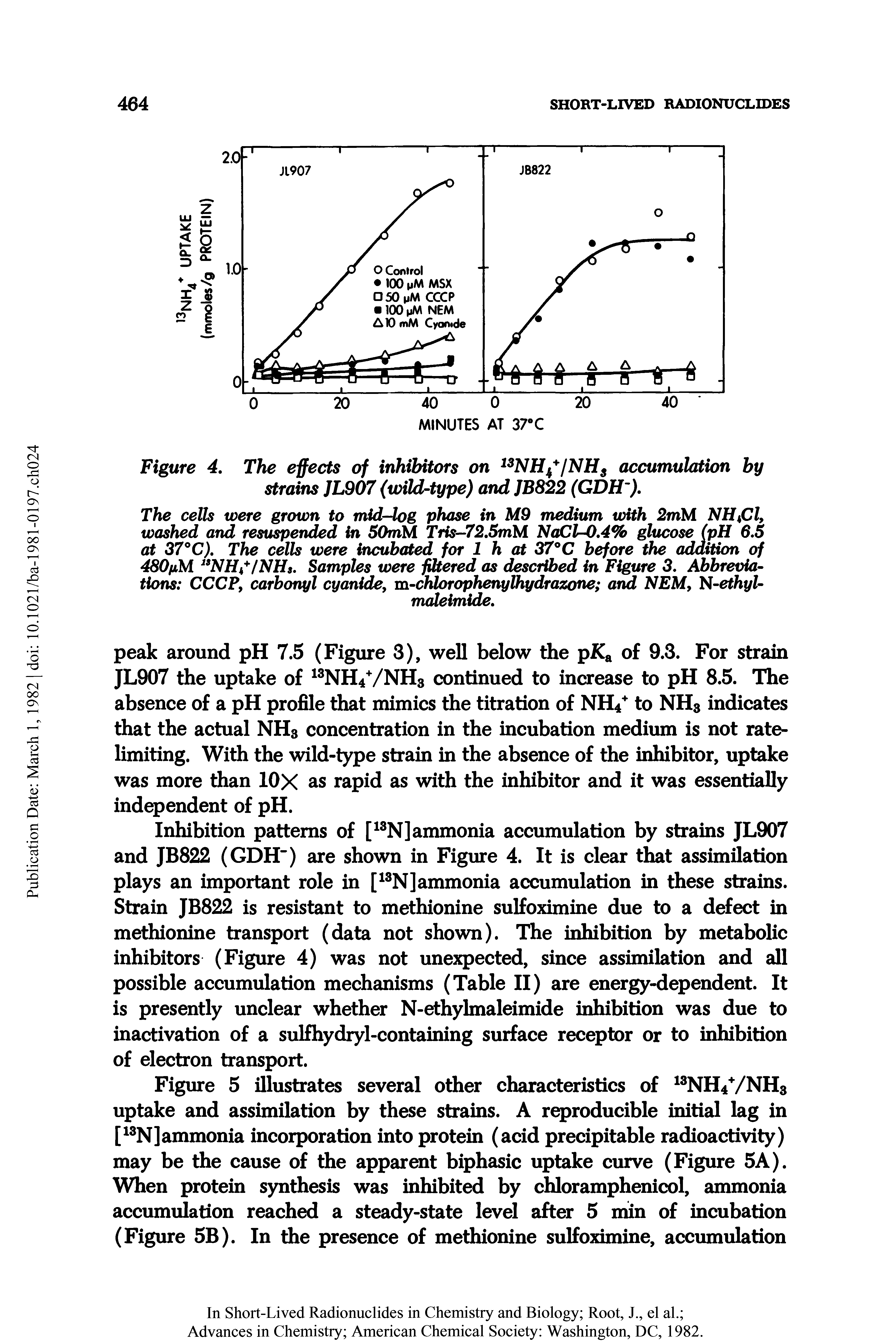 Figure 5 illustrates several other characteristics of NH4VNH3 uptake and assimilation by these strains. A reproducible initial lag in [ N]ammonia incorporation into protein (acid precipitable radioactivity) may be the cause of the apparent biphasic uptake curve (Figure 5A). When protein synthesis was inhibited by chloramphenicol, ammonia accumulation reached a steady-state level after 5 min of incubation (Figure 5B). In the presence of methionine sulfoximine, accumulation...