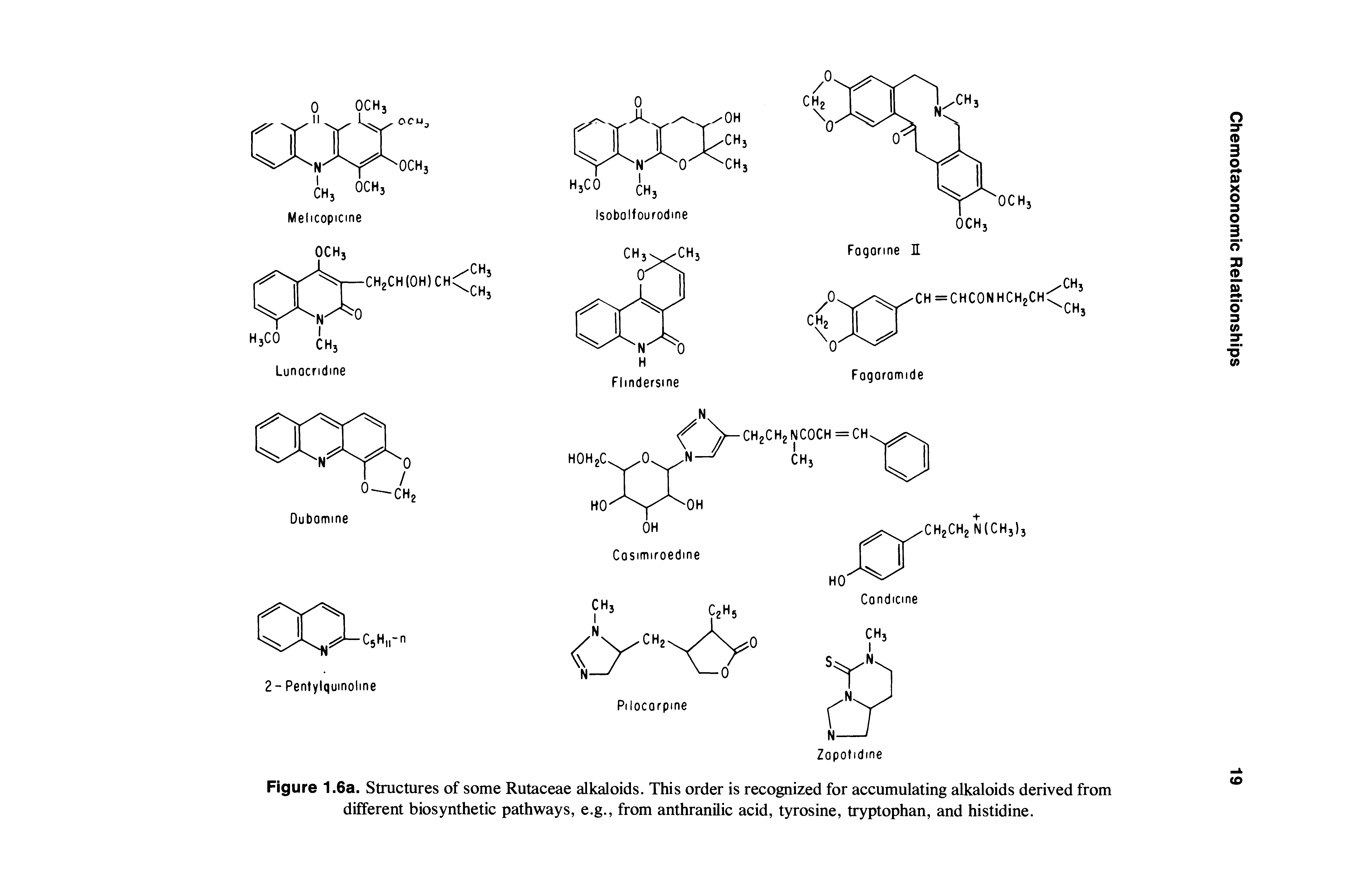 Figure 1.6a. Structures of some Rutaceae alkaloids. This order is recognized for accumulating alkaloids derived from different biosynthetic pathways, e.g., from anthranilic acid, tyrosine, tryptophan, and histidine.