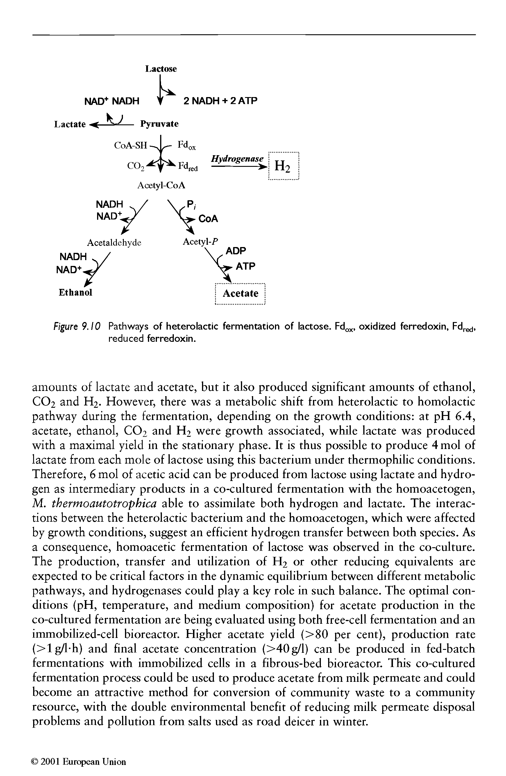 Figure 9.10 Pathways of heterolactic fermentation of lactose. Fd, oxidized ferredoxin, Fd gj, reduced ferredoxin.