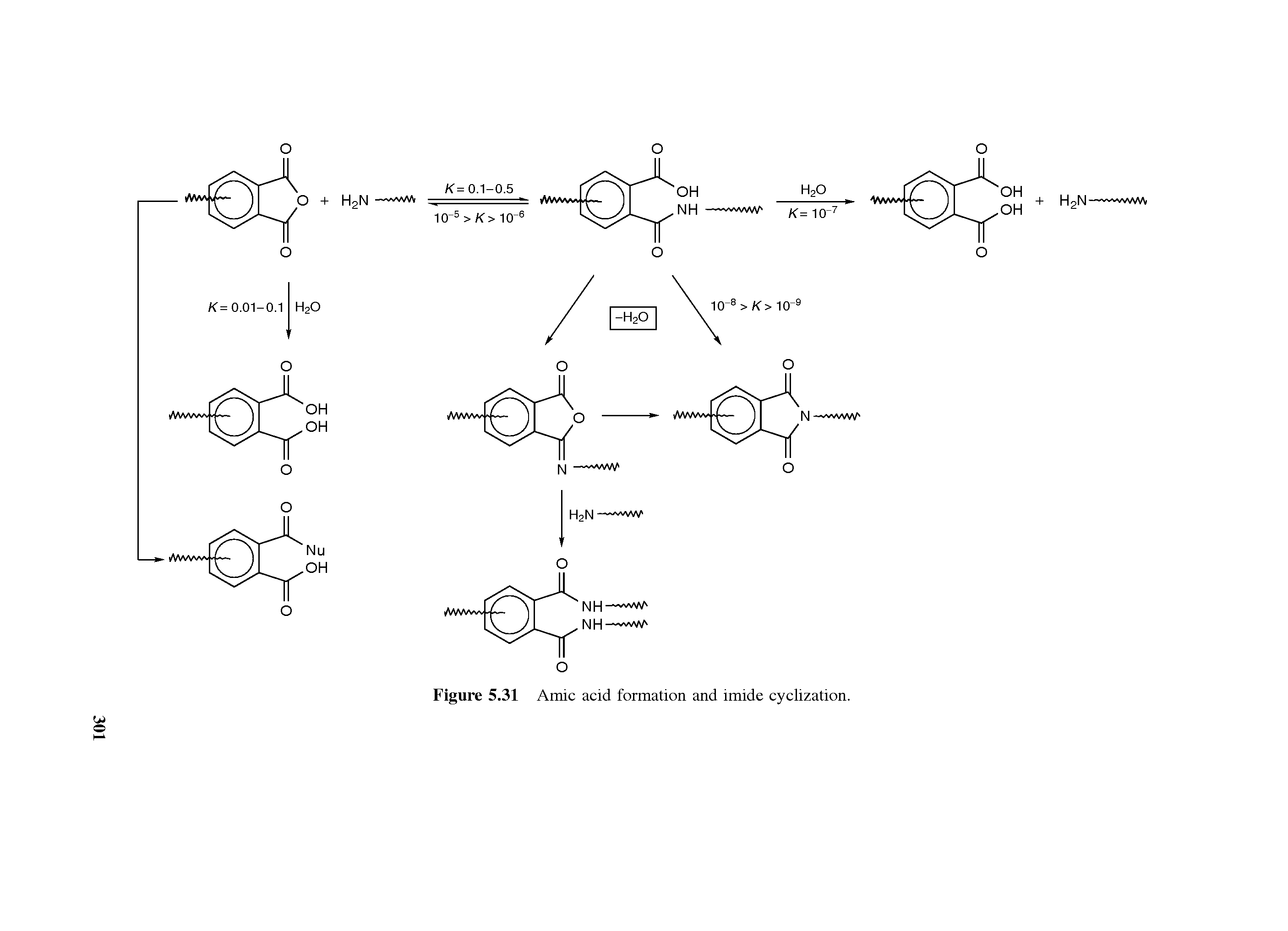 Figure 5.31 Amic acid formation and imide cyclization.