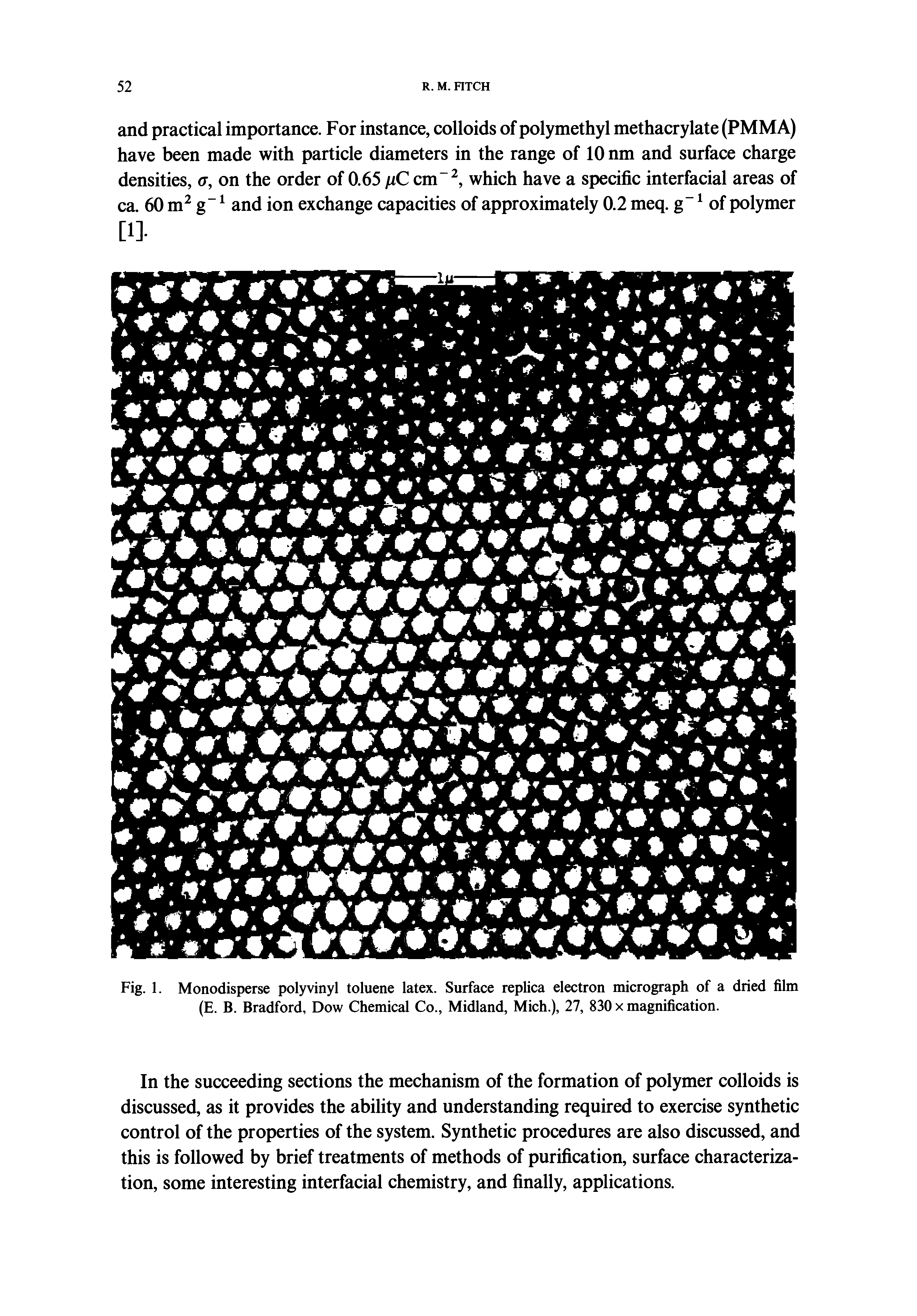 Fig. 1. Monodisperse polyvinyl toluene latex. Surface replica electron micrograph of a dried film (E. B. Bradford, Dow Chemical Co., Midland, Mich.), 27, 830 x magnification.