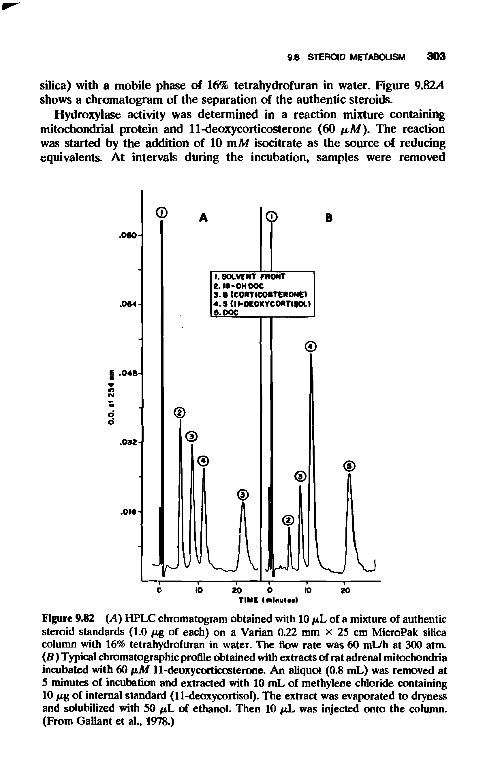 Figure 9.82 (/4) HPLC chromatogram obtained with 10 fiL of a mixture of authentic steroid standards (1.0 /xg of each) on a Varian 0.22 mm X 25 cm MicroPak silica column with 16% tetrahydrofuran in water. The flow rate was 60 mL/h at 300 atm. (B) Typical chromatographic profile obtained with extracts of rat adrenal mitochondria incubated with 60 nM 11-deoxycorticosterone. An aliquot (0.8 mL) was removed at 5 minutes of incubation and extracted with 10 mL of methylene chloride containing 10 fig of internal standard (11-deoxycortisol). The extract was evaporated to dryness and solubilized with 50 /xL of ethanol. Then 10 /xL was injected onto the column. (From Gallant et al., 1978.)...