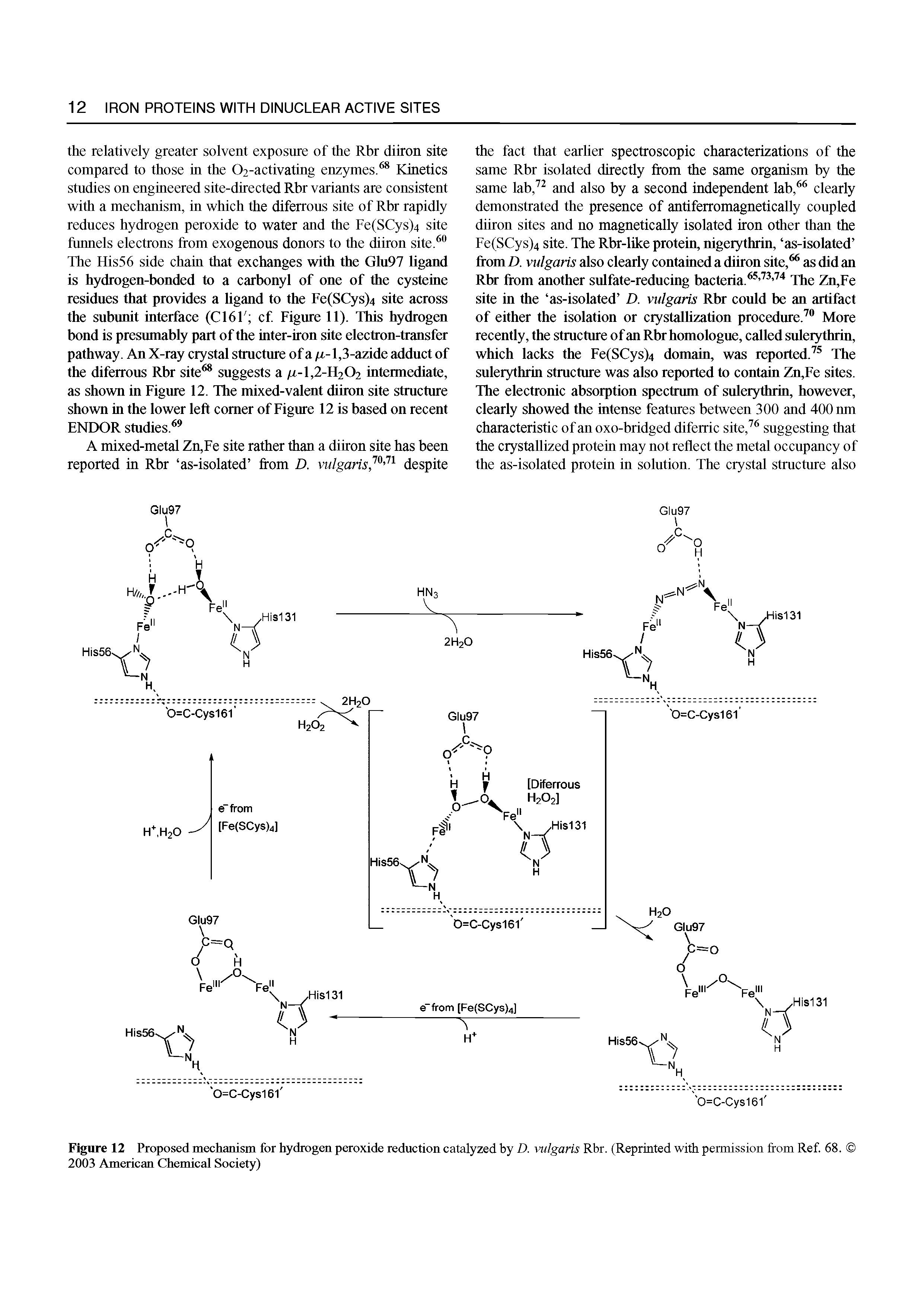 Figure 12 Proposed mechanism for hydrogen peroxide reduction catalyzed by D. vulgaris Rbr. (Reprinted with permission from Ref. 68. 2003 American Chemical Society)...