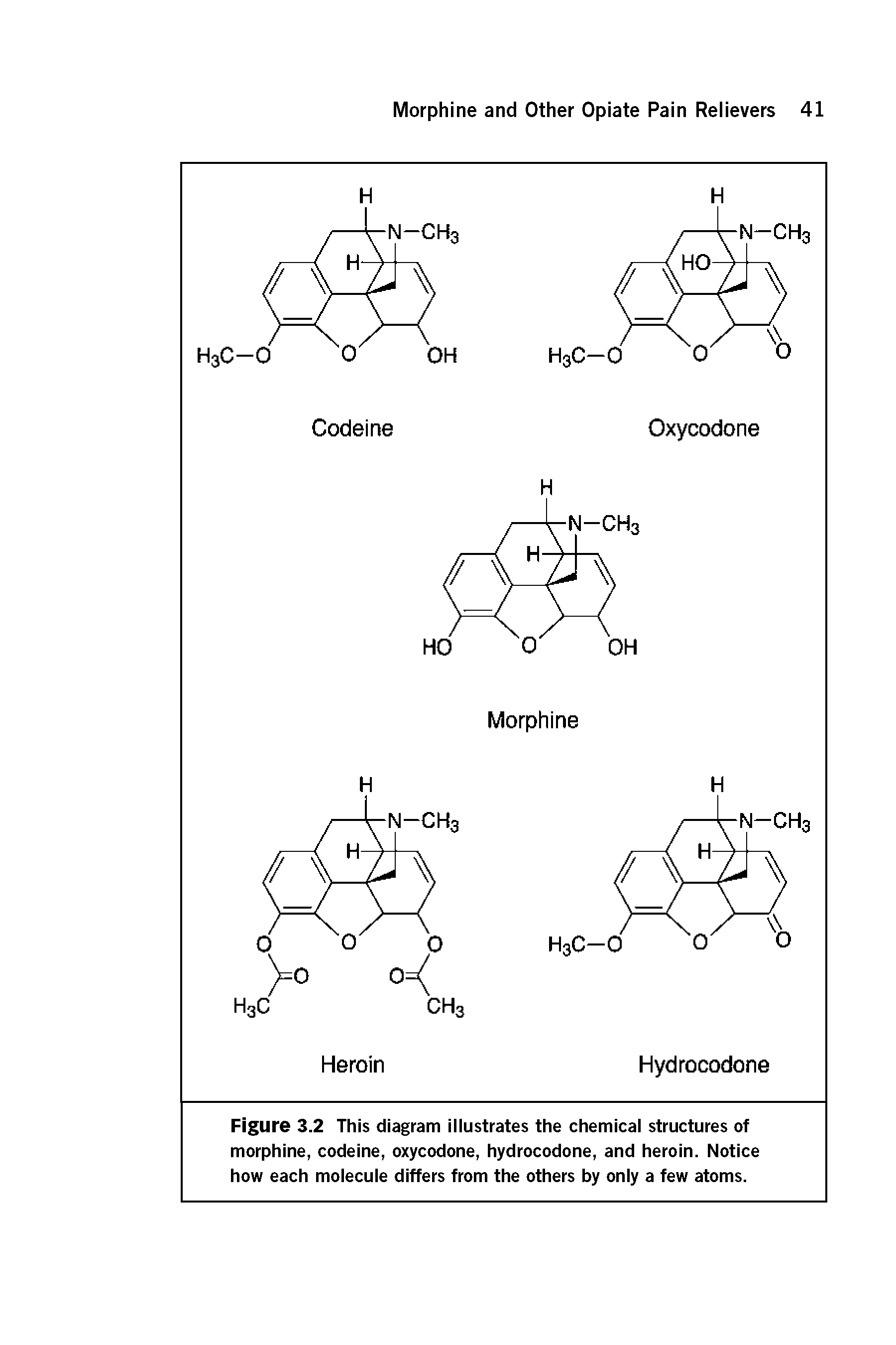 Figure 3.2 This diagram illustrates the chemical structures of morphine, codeine, oxycodone, hydrocodone, and heroin. Notice how each molecule differs from the others by only a few atoms.