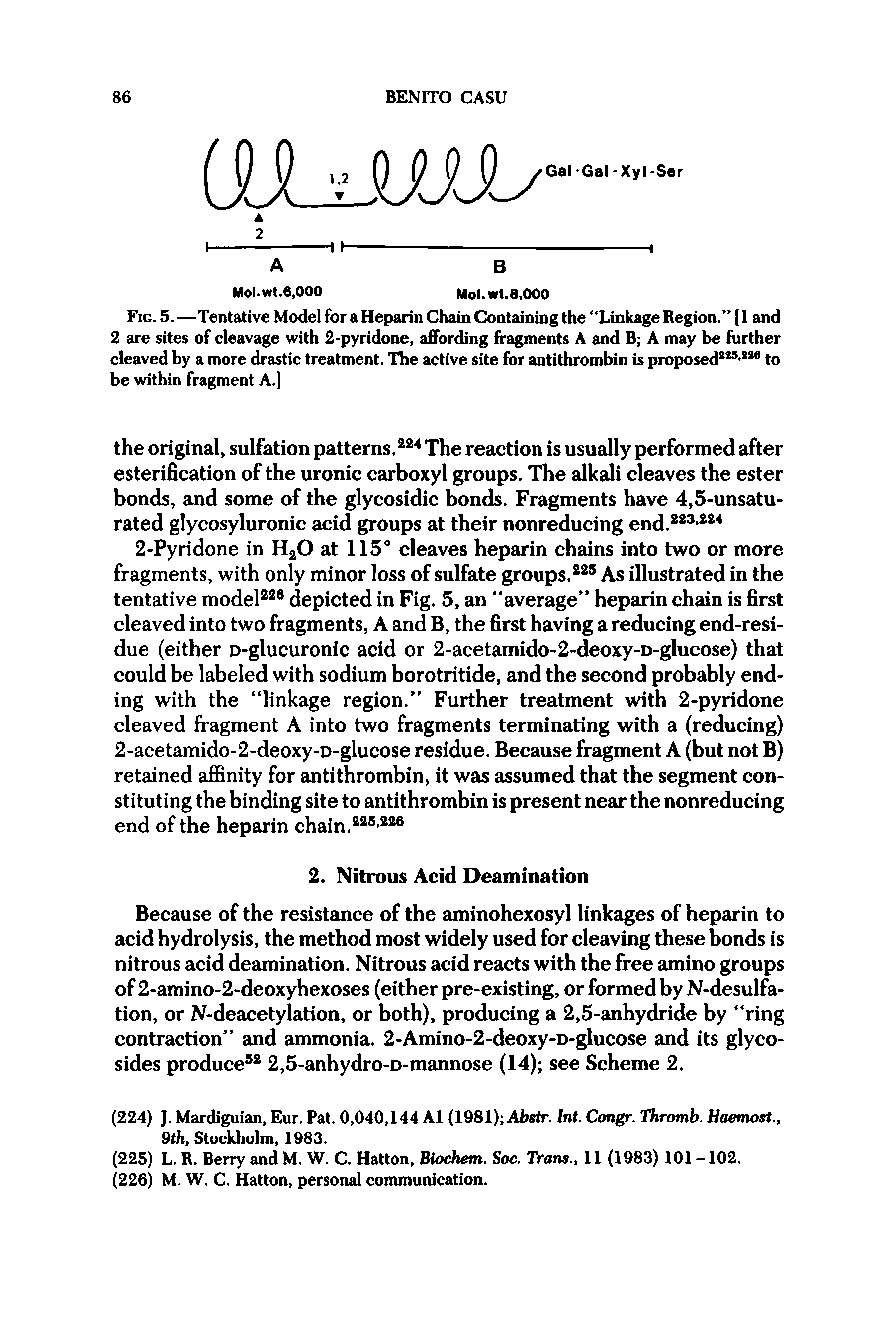 Fig. 5. —Tentative Model for a Heparin Chain Containing the Linkage Region. [1 and 2 are sites of cleavage with 2-pyridone, affording fragments A and B A may be further cleaved by a more drastic treatment. The active site for antithrombin is proposed - 8 to be within fragment A. ...