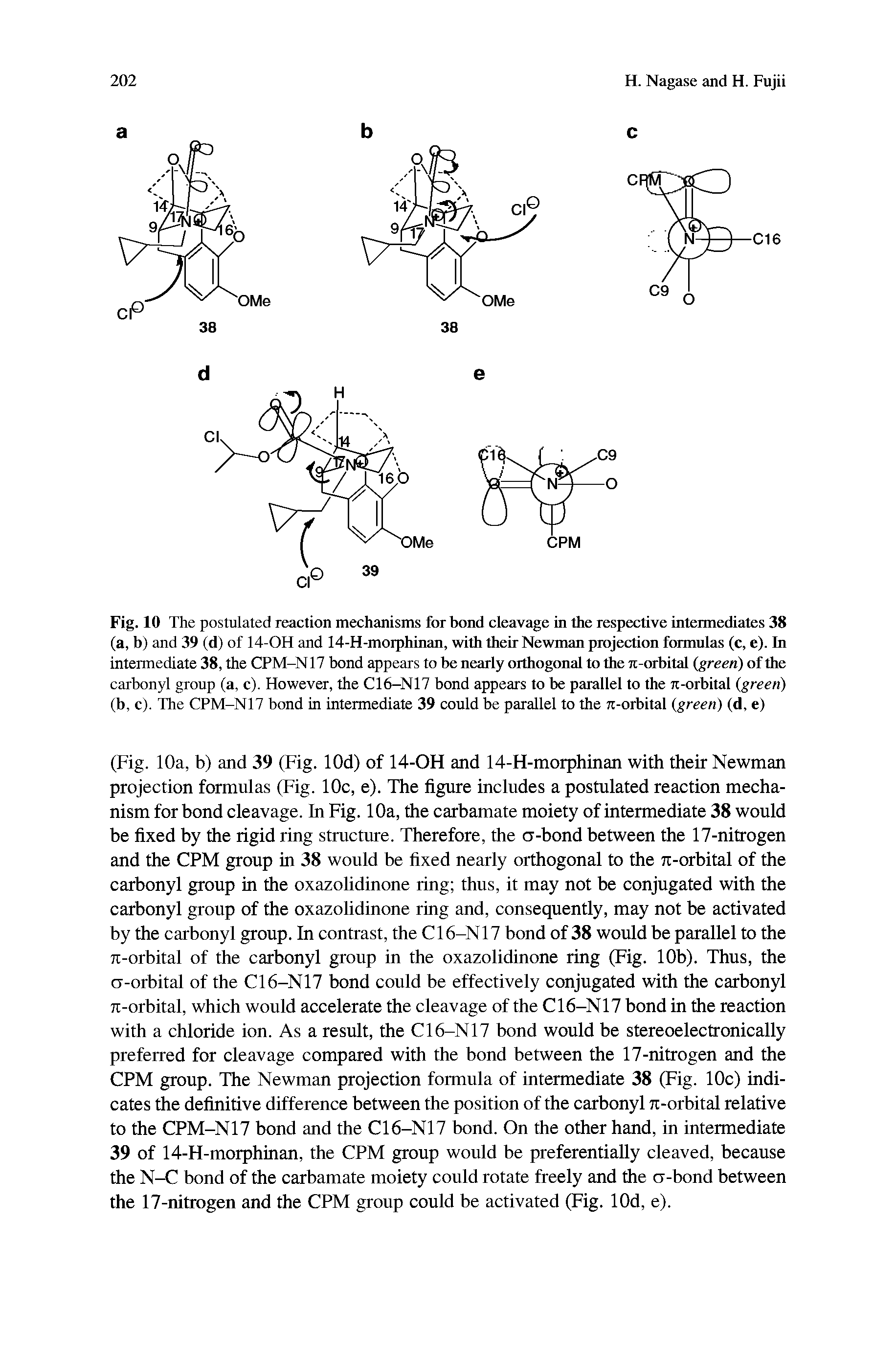 Fig. 10 The postulated reaction mechanisms for bond cleavage in the respective intermediates 38 (a, b) and 39 (d) of 14-OH and 14-H-morphinan, with their Newman projection formulas (c, e). In intermediate 38, the CPM-N17 bond appears to be nearly orthogonal to the 7i-orbital (green) of the carbonyl group (a, c). However, the C16-N17 bond appears to be parallel to the 7t-orbital (green) (b, c). The CPM-N17 bond in intermediate 39 could be parallel to the 7i-orbital (green) (d, e)...