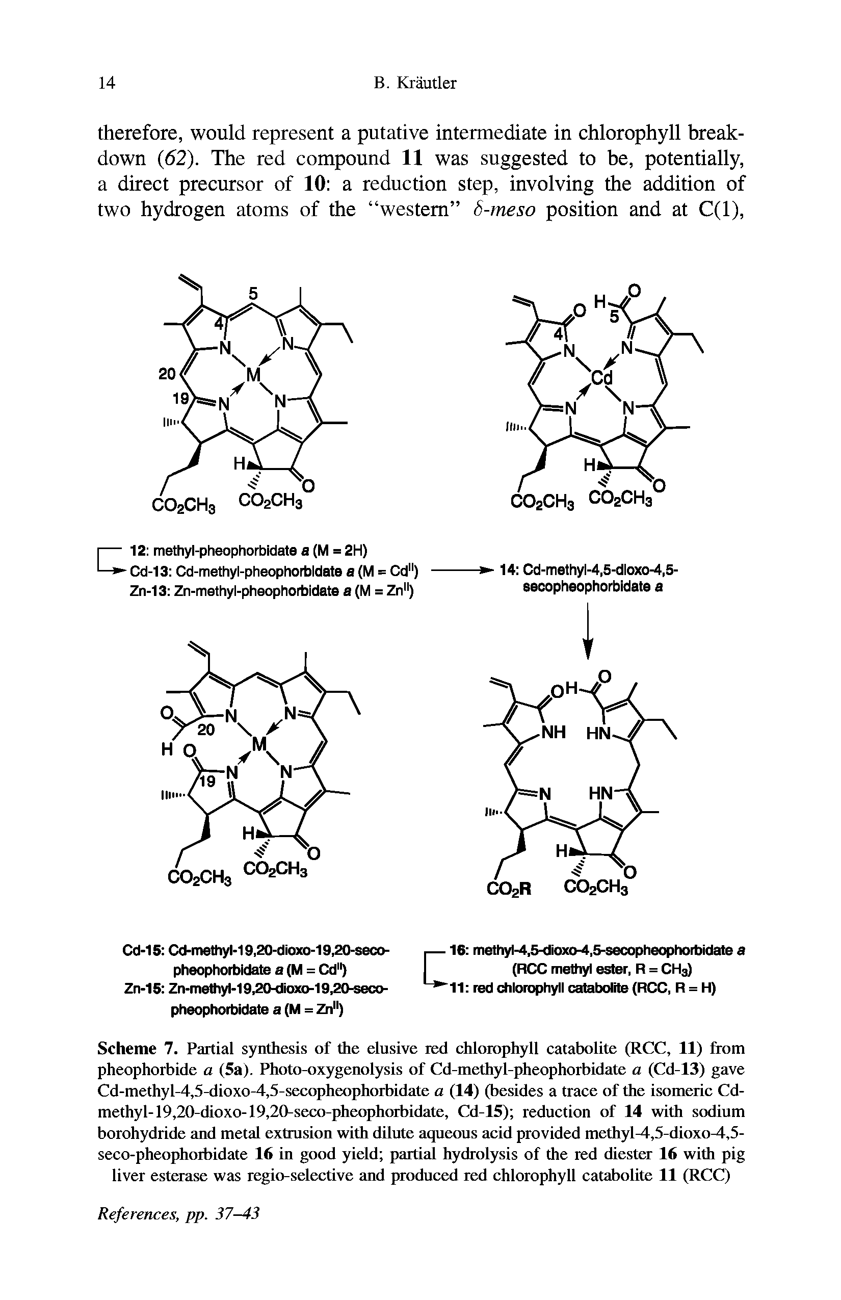 Scheme 7. Partial synthesis of the elusive red chlorophyll catabolite (RCC, 11) from pheophorbide a (5a). Photo-oxygenolysis of Cd-methyl-pheophorbidate a (Cd-13) gave Cd-methyl-4,5-dioxo-4,5-secopheophorbidate a (14) (besides a trace of the isomeric Cd-methyl-19,20-dioxo-19,20-seco-pheophorbidate, Cd-15) reduction of 14 with sodium borohydride and metal extrusion with dilute aqueous acid provided mcthyl-4,5-dioxo-4,5-seco-pheophorbidate 16 in good yield partial hydrolysis of the red diester 16 with pig liver esterase was regio-selective and produced red chlorophyll catabolite 11 (RCC)...