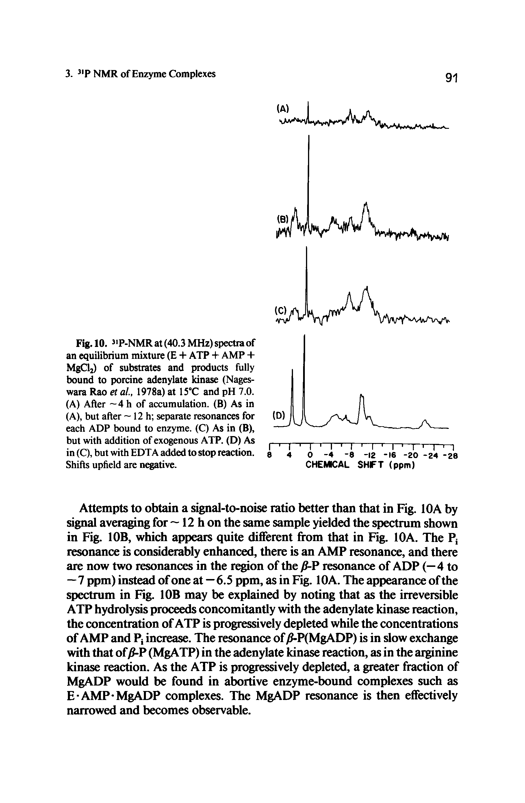 Fig. 10. P-NMR at (40.3 MHz) spectra of an equilibrium mixture (E + ATP + AMP + MgCy of substrates and products fully bound to porcine adenylate kinase (Nages-wara Rao et al, 1978a) at 15°C and pH 7.0. (A) After 4 h of accumulation. (B) As in (A), but after —12 h separate resonances for each ADP bound to enzyme. (C) As in (B), but with addition of exogenous ATP. (D) As in (C), but with EDTA added to stop reaction. Shifts upheld are negative.
