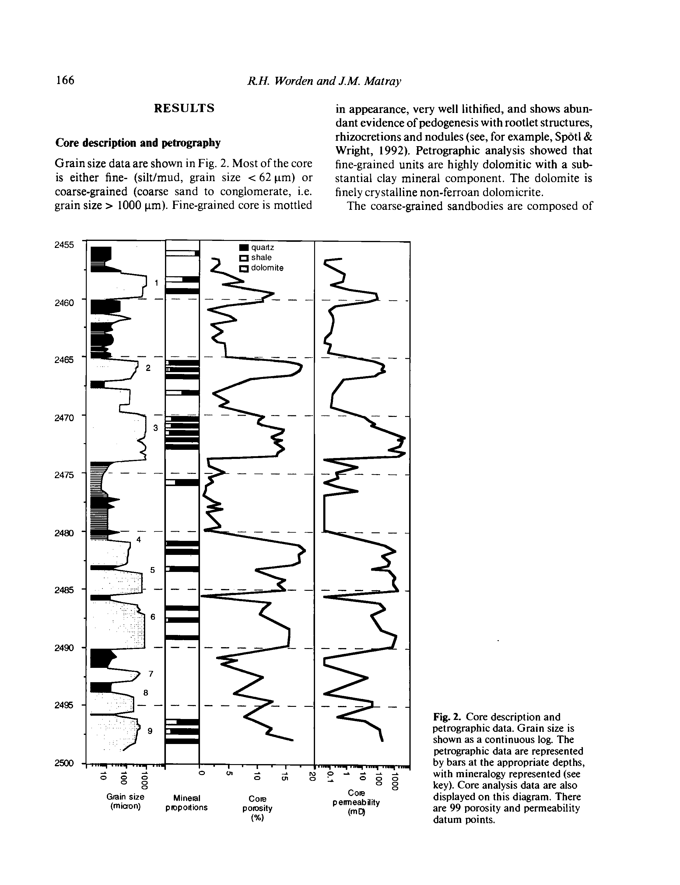 Fig. 2. Core description and petrographic data. Grain size is shown as a continuous log. The petrographic data are represented by bars at the appropriate depths, with mineralogy represented (see key). Core analysis data are also displayed on this diagram. There are 99 porosity and permeability datum points.