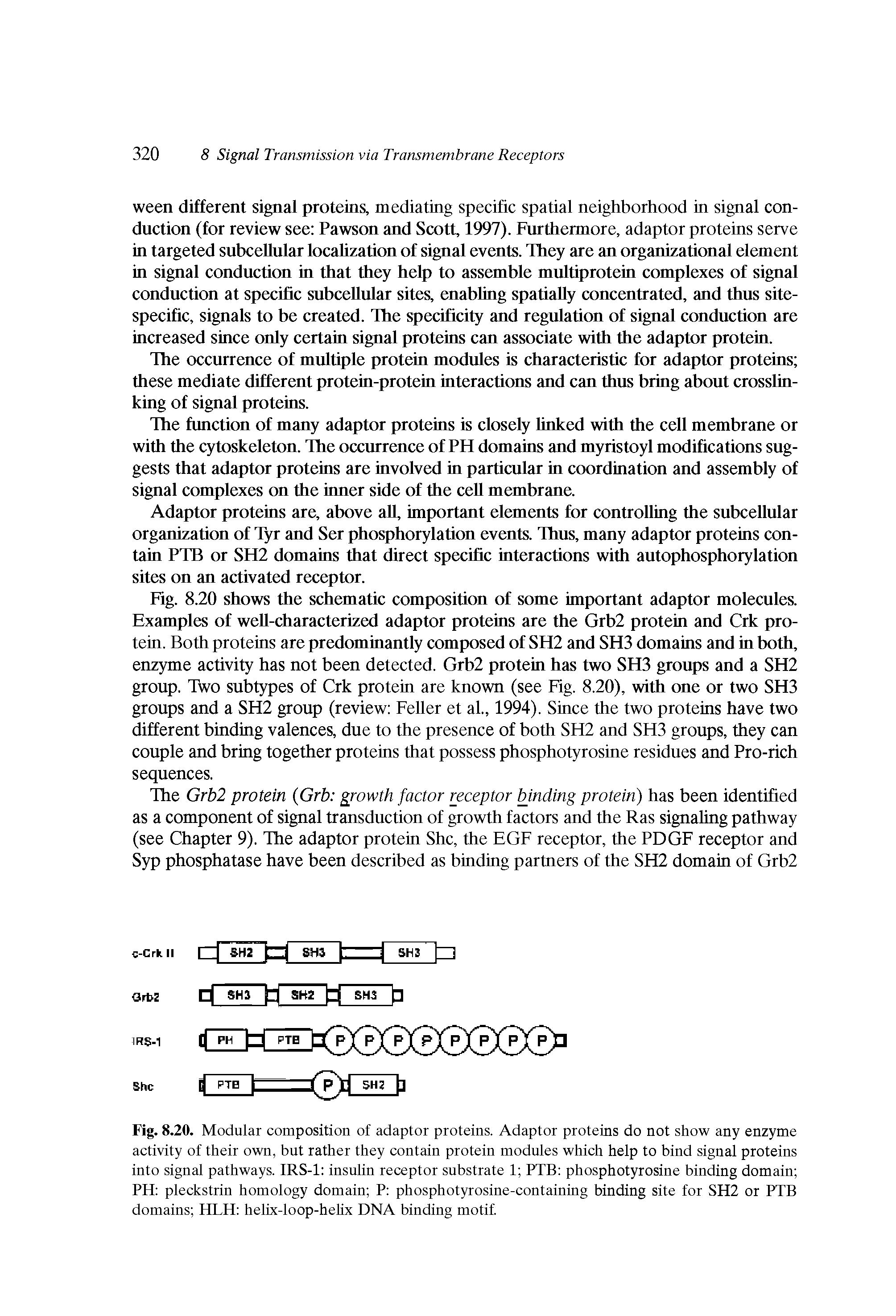 Fig. 8.20. Modular composition of adaptor proteins. Adaptor proteins do not show any enzyme activity of their own, but rather they contain protein modules which help to bind signal proteins into signal pathways. IRS-1 insulin receptor substrate 1 PTB phosphotyrosine binding domain PH pleckstrin homology domain P phosphotyrosine-containing binding site for SH2 or PTB domains HLH helrx-loop-hehx DNA binding motif...