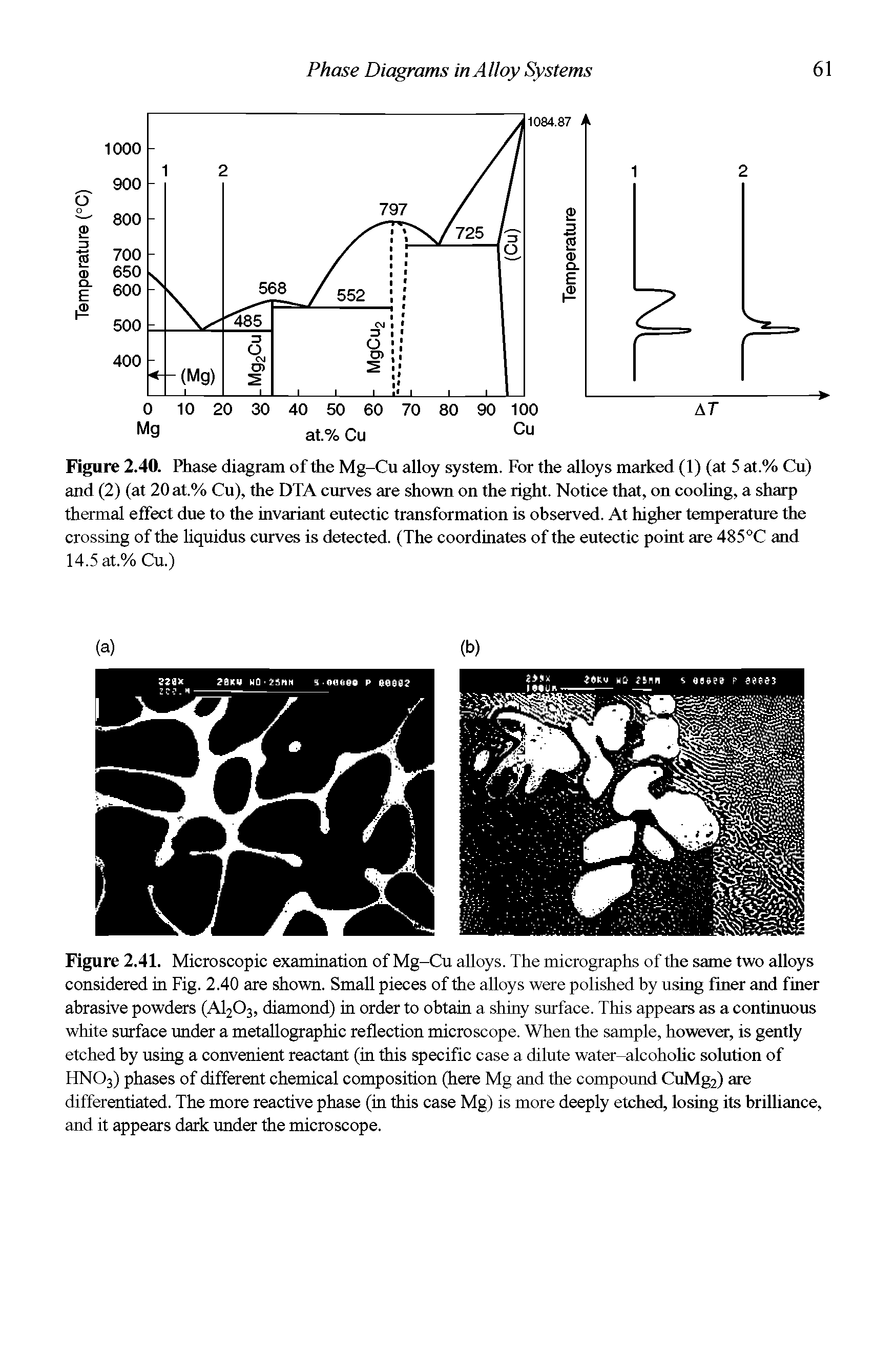 Figure 2.41. Microscopic examination of Mg-Cu alloys. The micrographs of the same two alloys considered in Fig. 2.40 are shown. Small pieces of the alloys were polished by using finer and finer abrasive powders (A1203, diamond) in order to obtain a shiny surface. This appears as a continuous white surface under a metallographic reflection microscope. When the sample, however, is gently etched by using a convenient reactant (in this specific case a dilute water-alcohohc solution of HN03) phases of different chemical composition (here Mg and the compound CuMg2) are differentiated. The more reactive phase (in this case Mg) is more deeply etched, losing its brilliance, and it appears dark under the microscope.