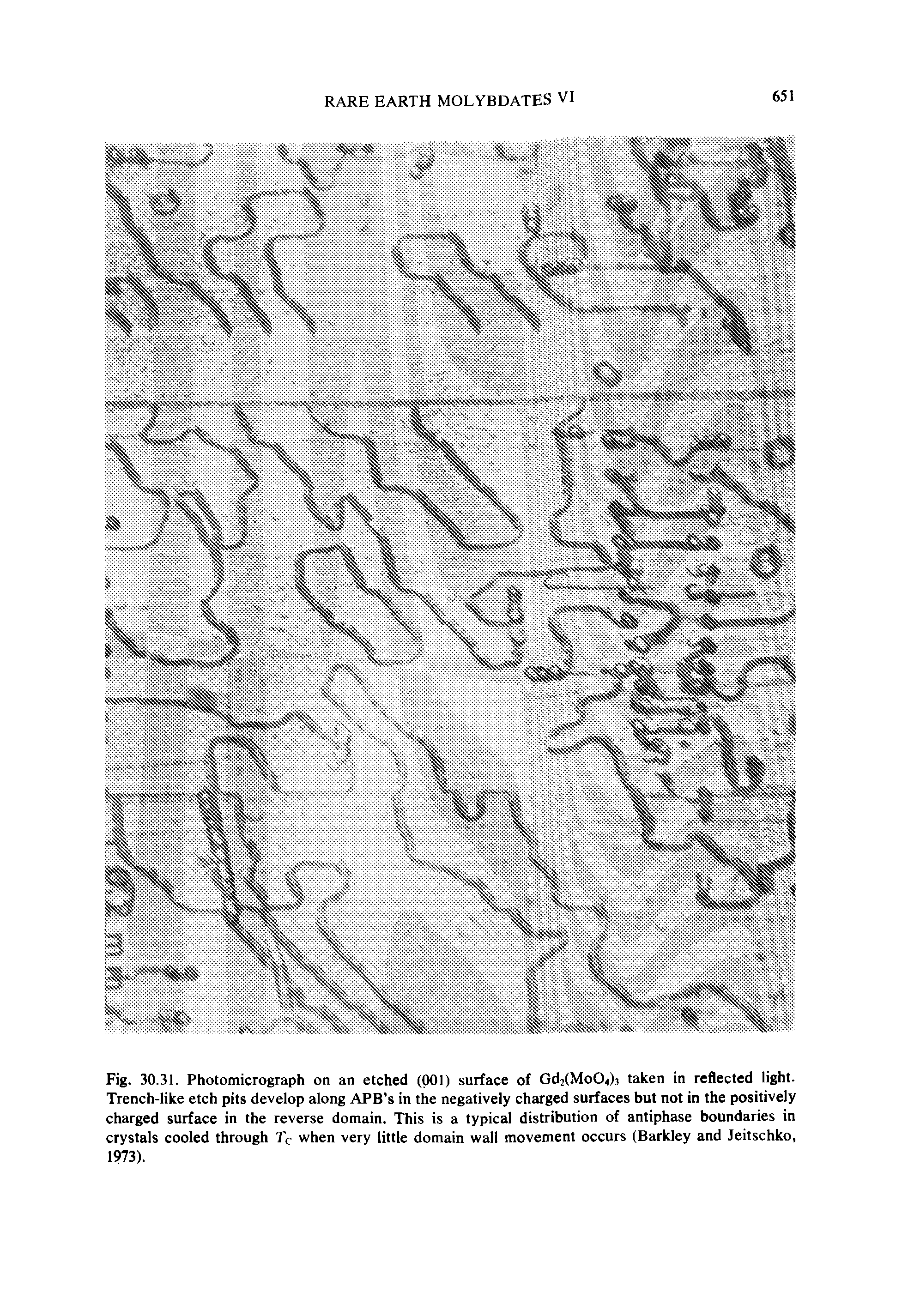 Fig. 30.31. Photomicrograph on an etched (001) surface of Gd2(Mo04)j taken in reflected light. Trench-like etch pits develop along APB s in the negatively charged surfaces but not in the positively charged surface in the reverse domain. This is a typical distribution of antiphase boundaries in crystals cooled through Tc when very little domain wall movement occurs (Barkley and Jeitschko, 1973).