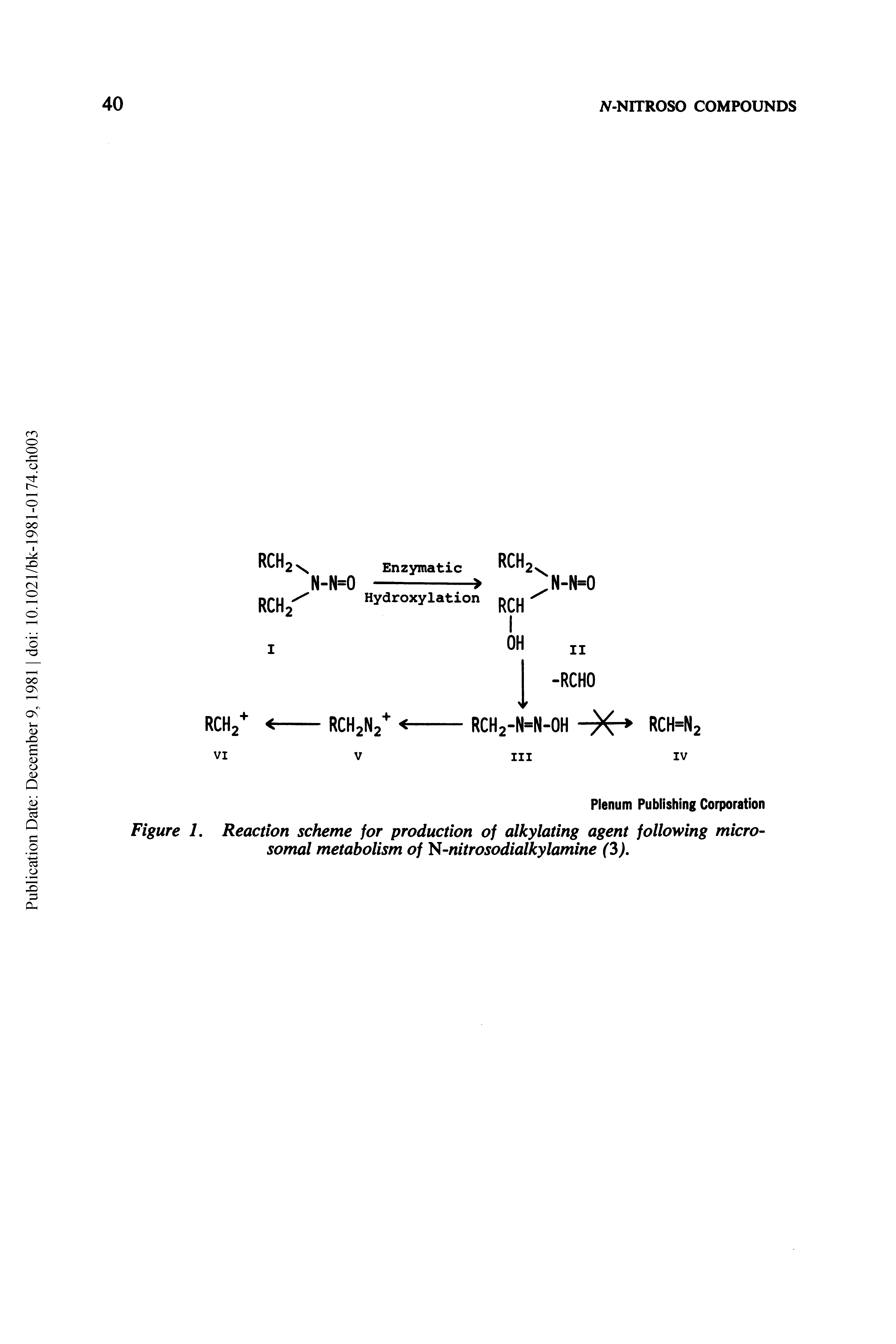 Figure 1. Reaction scheme for production of alkylating agent following microsomal metabolism of S-nitrosodialkylamine (3),...