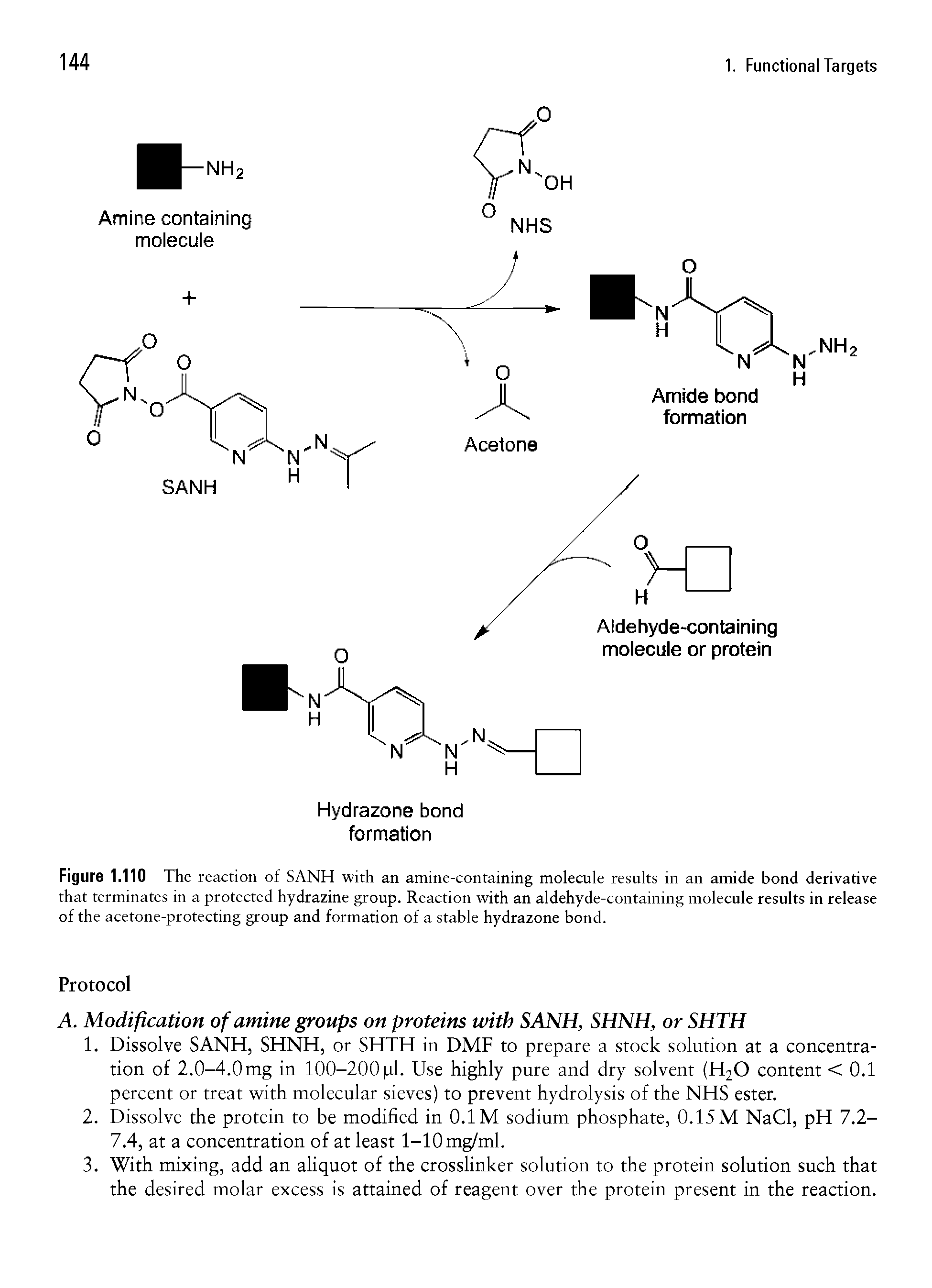 Figure 1.110 The reaction of SANH with an amine-containing molecule results in an amide bond derivative that terminates in a protected hydrazine group. Reaction with an aldehyde-containing molecule results in release of the acetone-protecting group and formation of a stable hydrazone bond.