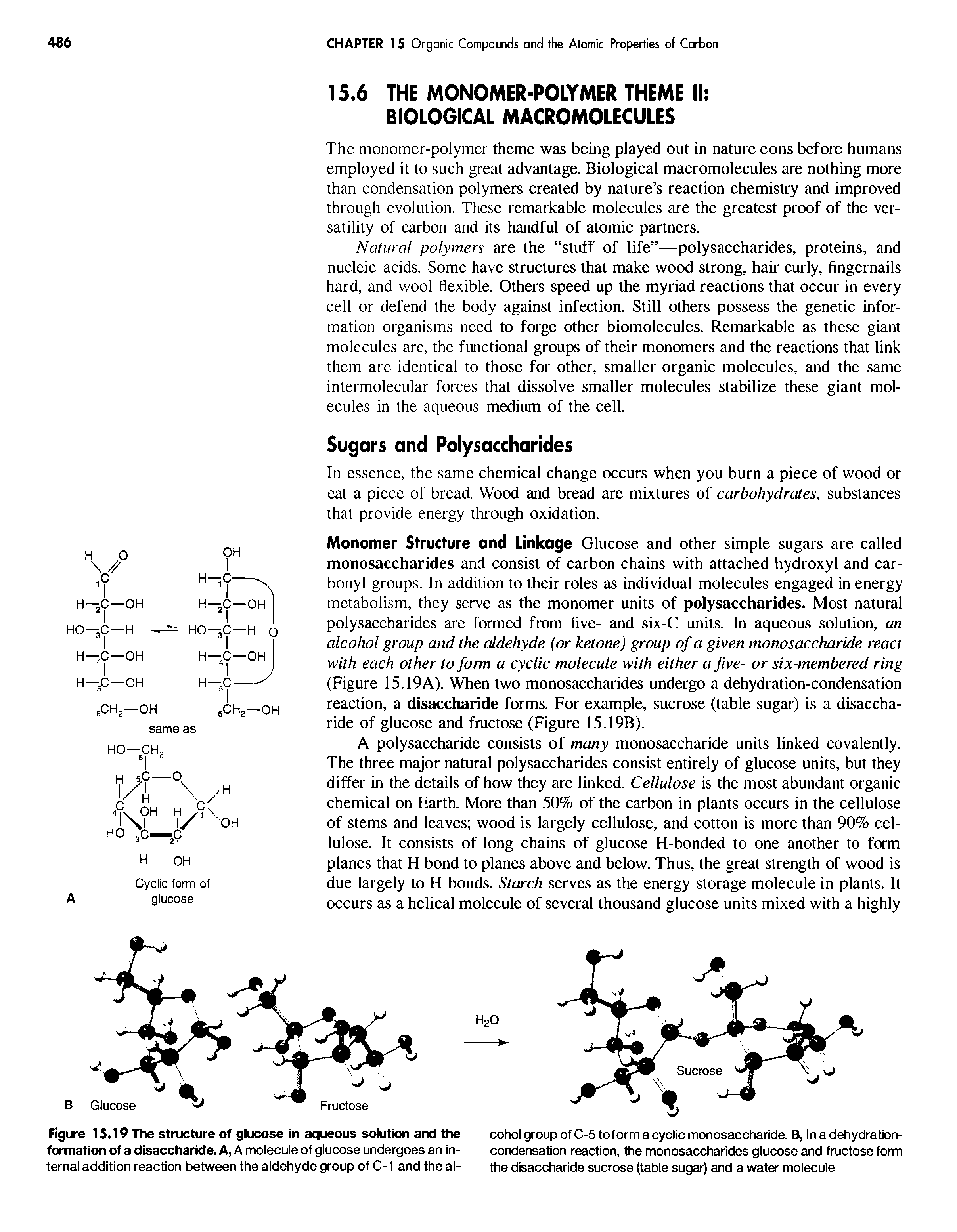 Figure 15.19 The structure of glucose in aqueous solution and the formation of a disaccharide. A, A molecule of glucose undergoes an internal addition reaction between the aldehyde group of C-1 and the al-...