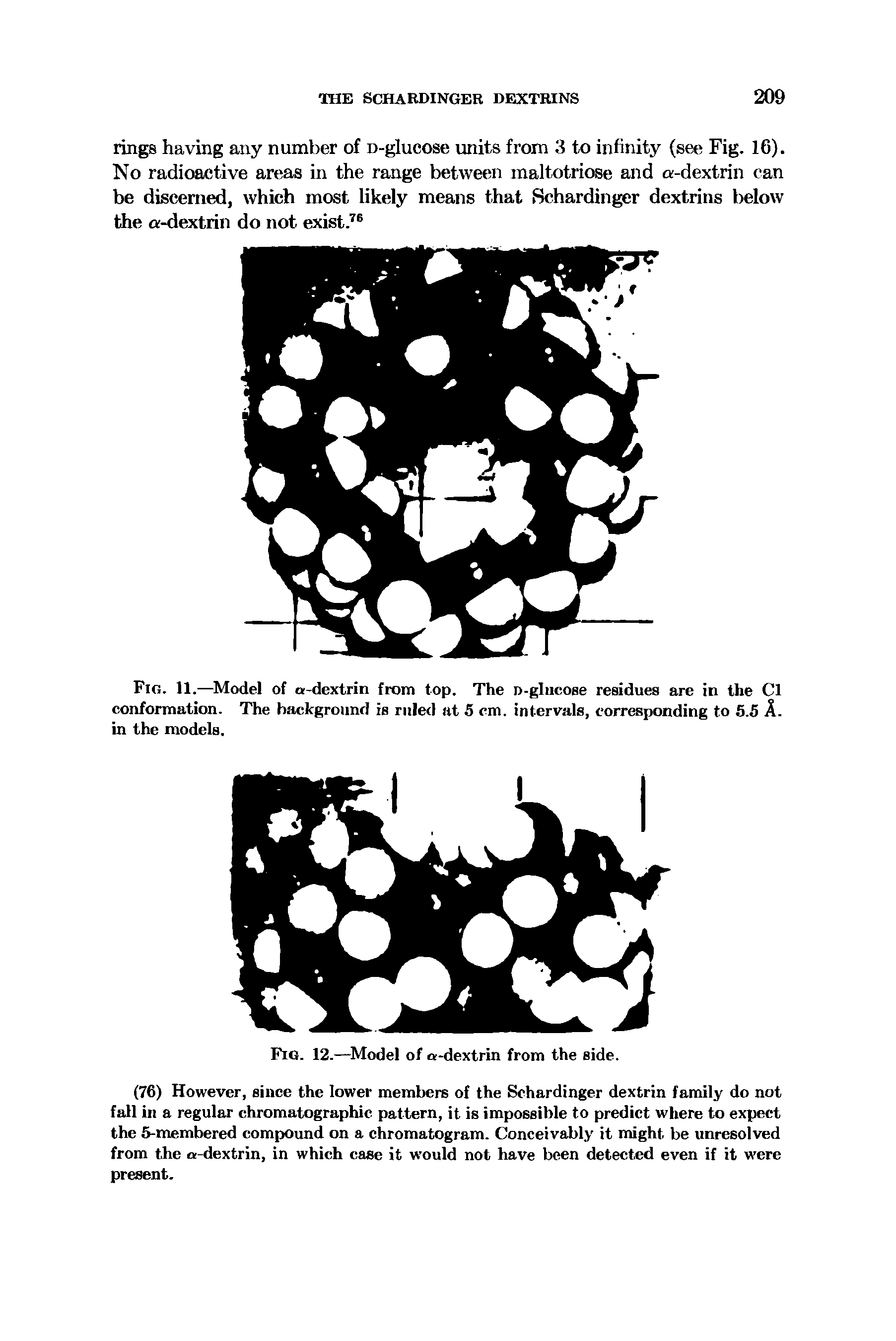 Fig. 11.—Model of a-dextrin from top. The D-gliicose residues are in the Cl conformation. The background is ruled at 5 cm. intervals, corresponding to 5.5 A. in the models.